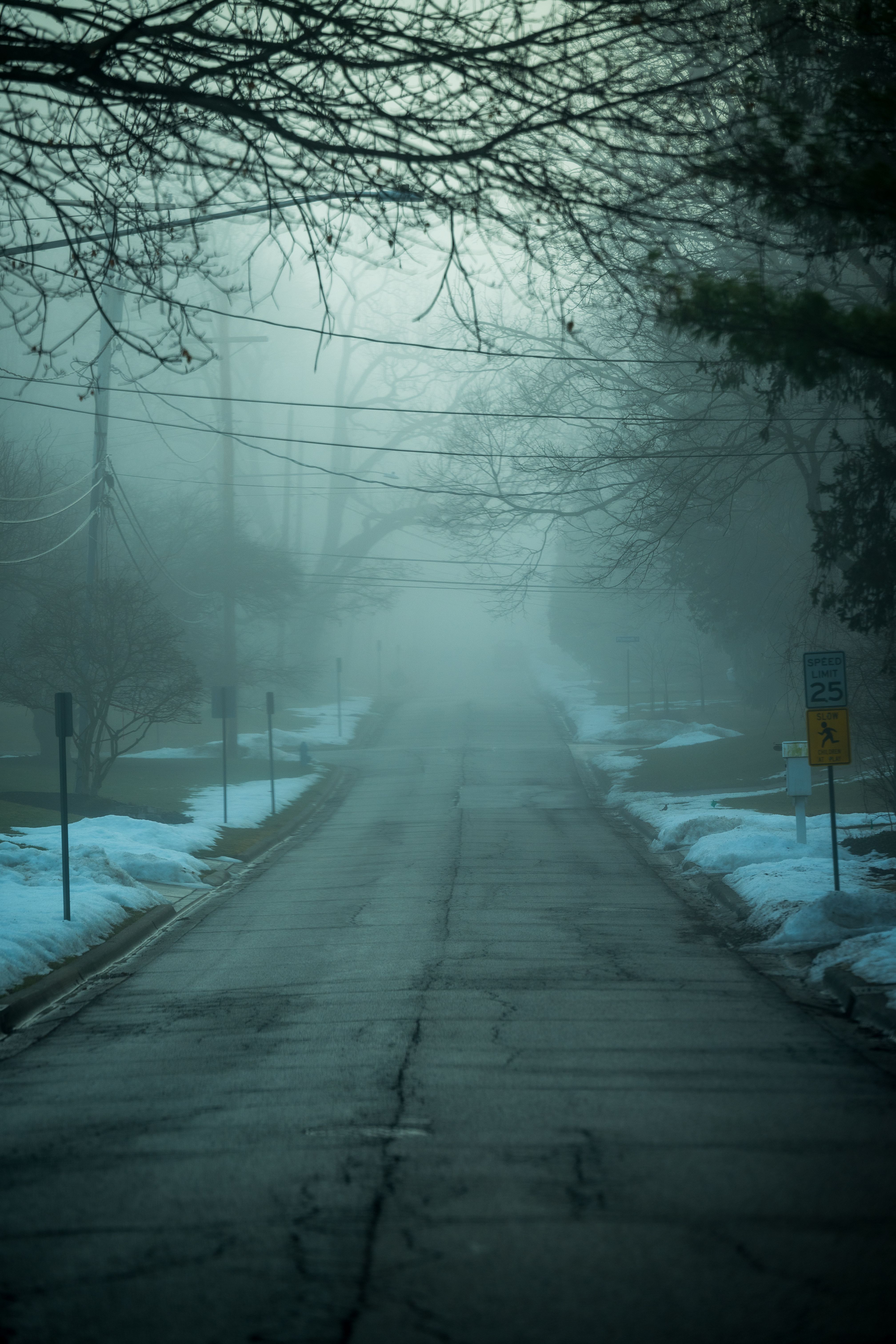Misty Winter Road with Foggy Atmosphere · Free Stock Photo