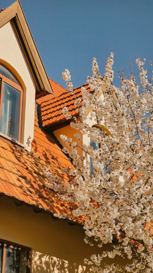 Free Picturesque house with orange roof and blooming tree against a clear blue sky. Stock Photo