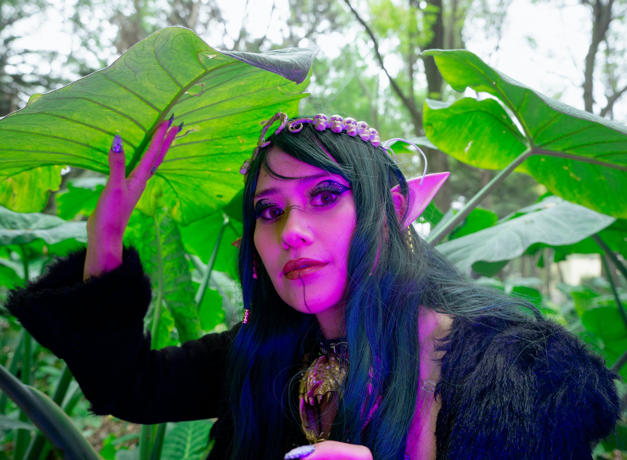 Enchanting Elf Woman in Mystical Forest Setting · Free Stock Photo