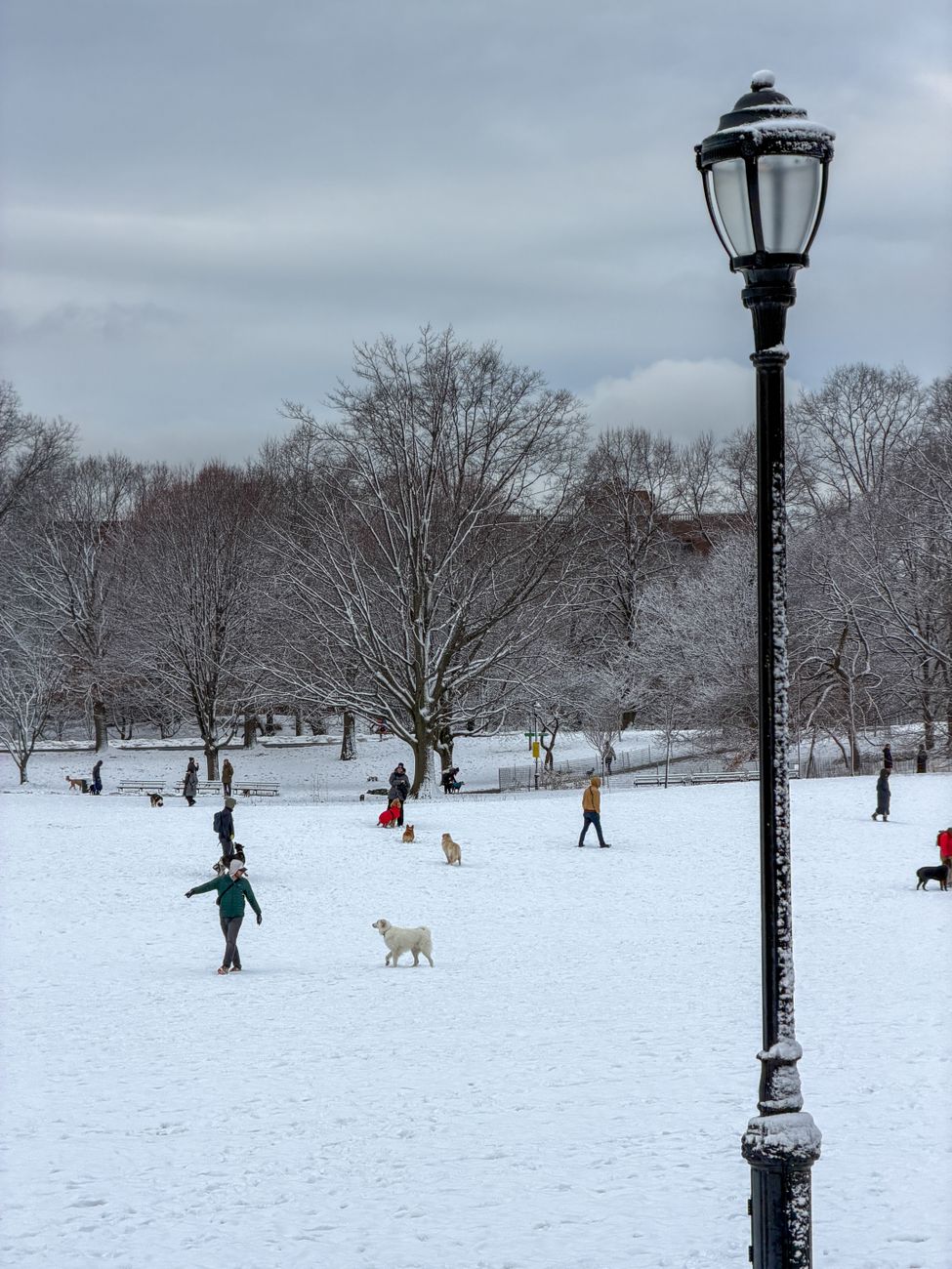 Prospect Park