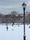 dog park