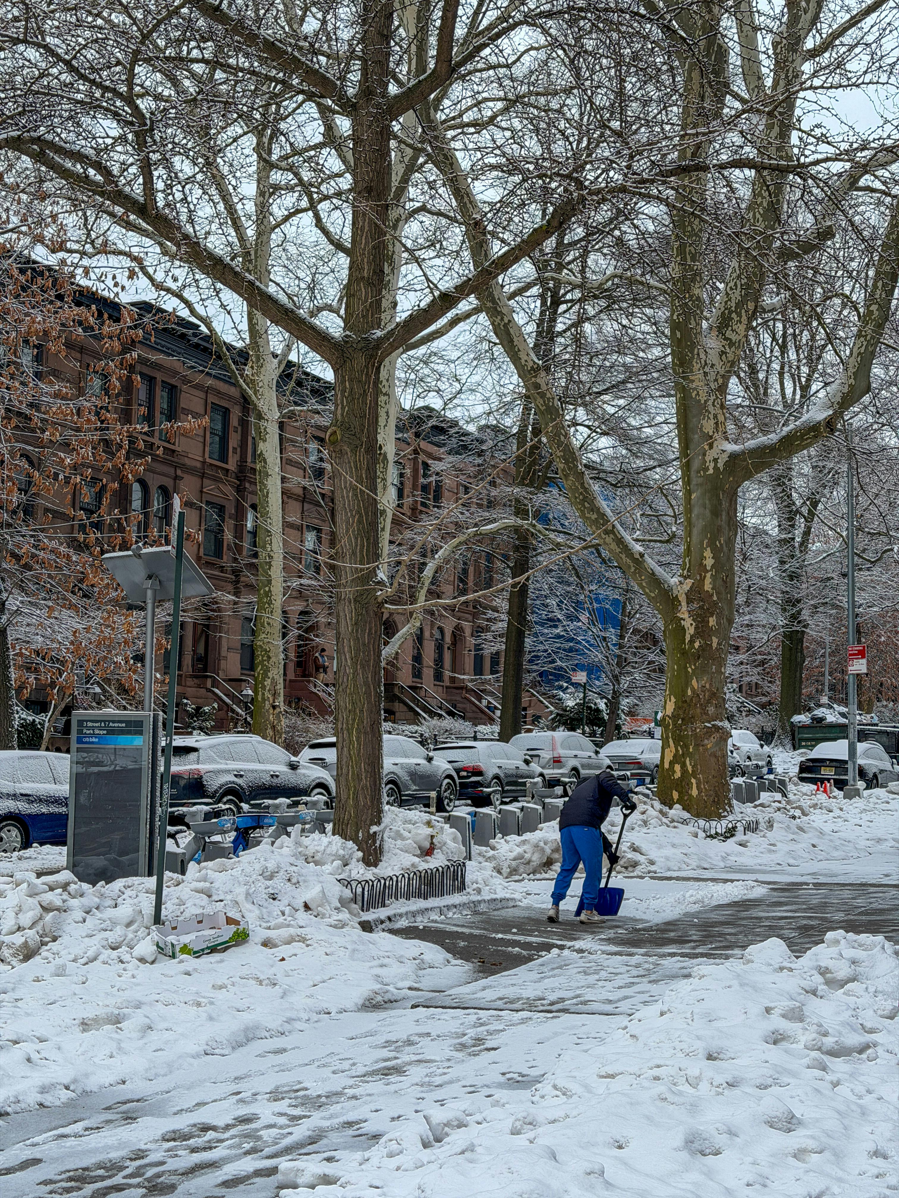 бесплатная Человек расчищает снег на обсаженной деревьями улице в Бруклине, штат Нью-Йорк, после свежего снегопада. Стоковое фото