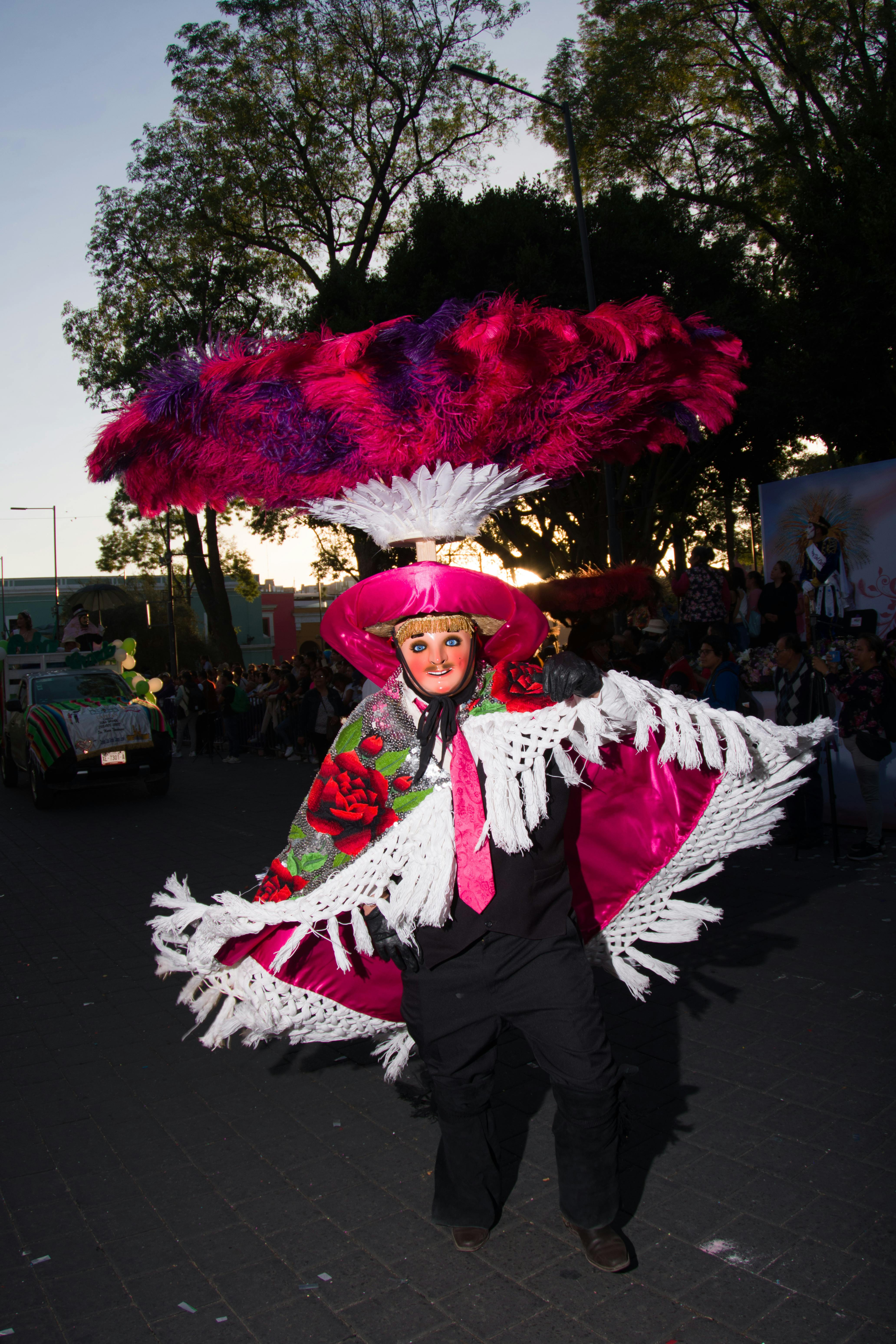Colorful carnival costume worn during a traditional Tlaxcala festivity, showcasing vibrant cultural attire.