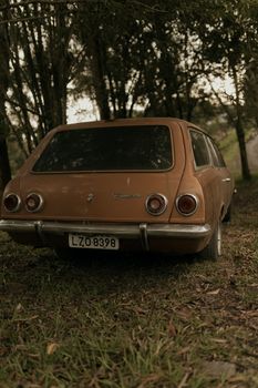 Rear view of a classic brown vintage wagon parked amidst trees, showcasing rustic charm.