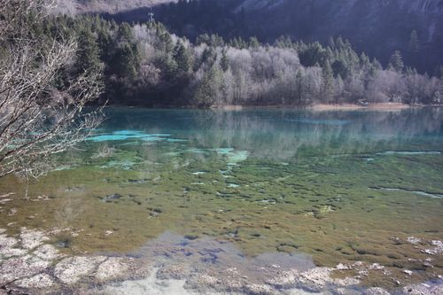 Free Clear aquamarine waters of a mountain lake with surrounding forest, creating a tranquil scene. Stock Photo