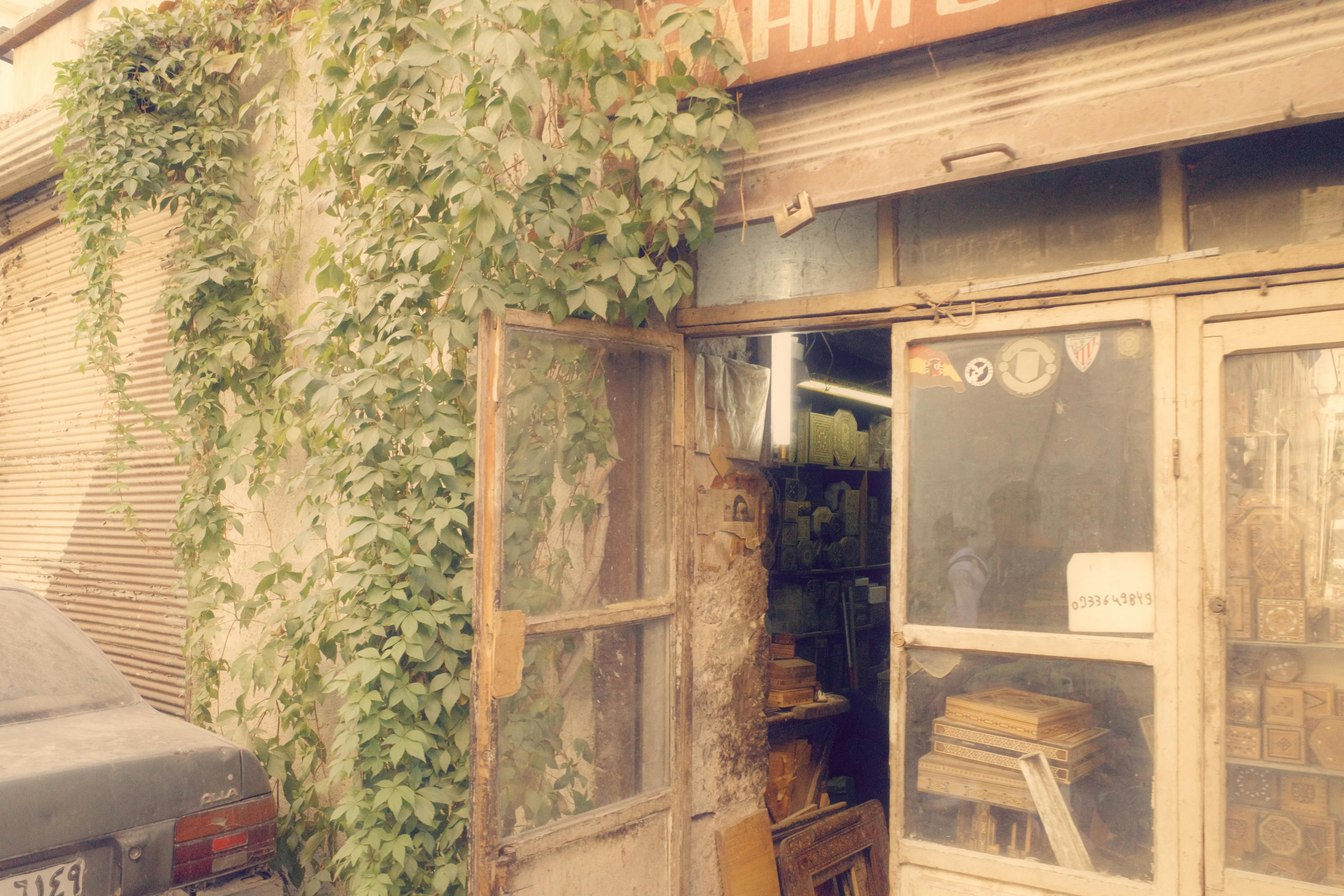 Explore a vintage shop in Old Damascus with ivy-covered facade and rustic charm.
