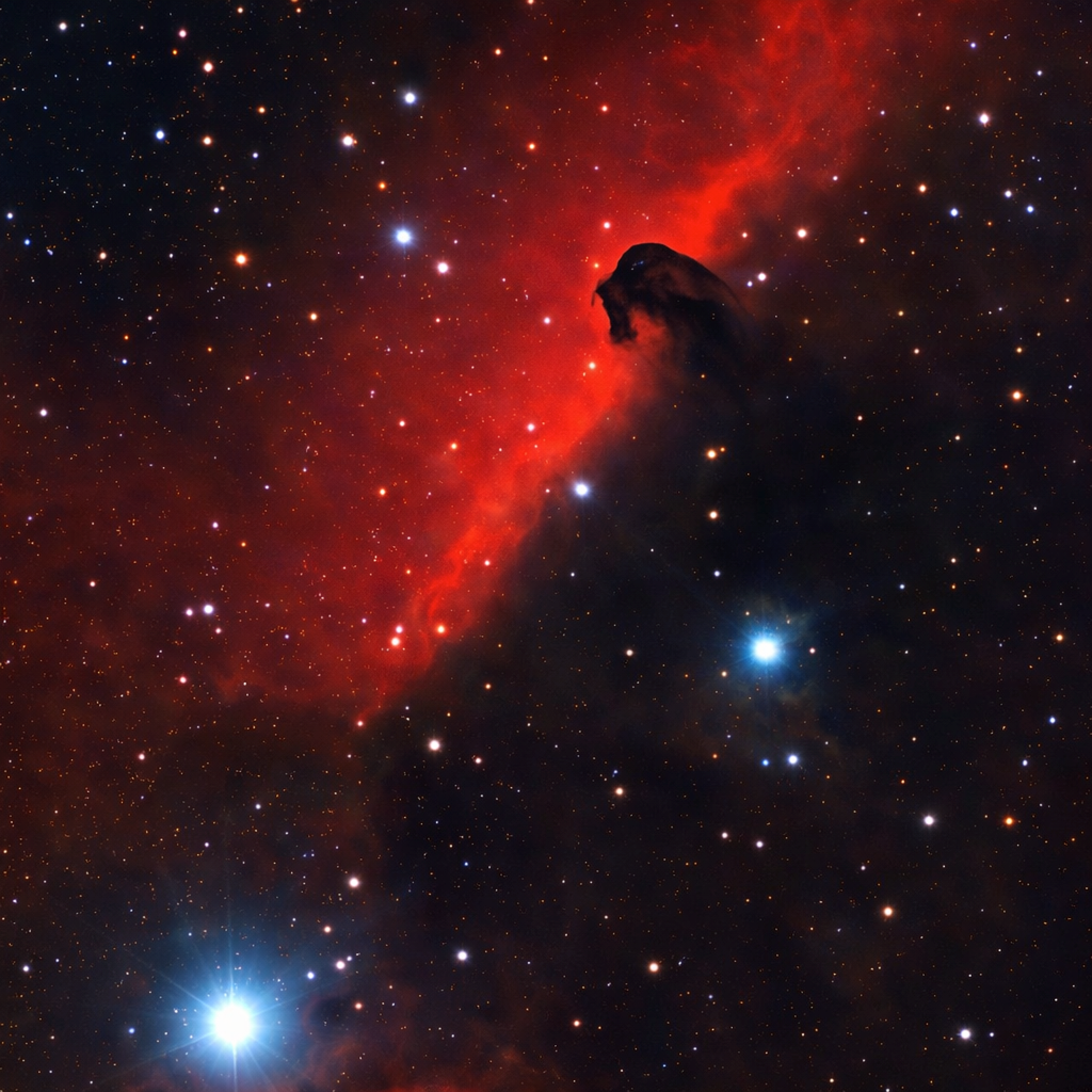 Stunning photograph of the Horsehead Nebula in vivid red and black space scenery.