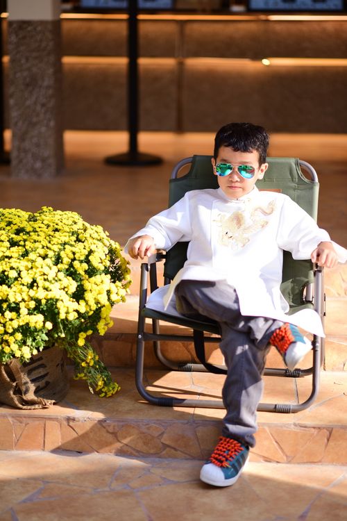 Free Young boy in sunglasses sitting on a chair beside a pot of vibrant yellow flowers indoors. Stock Photo