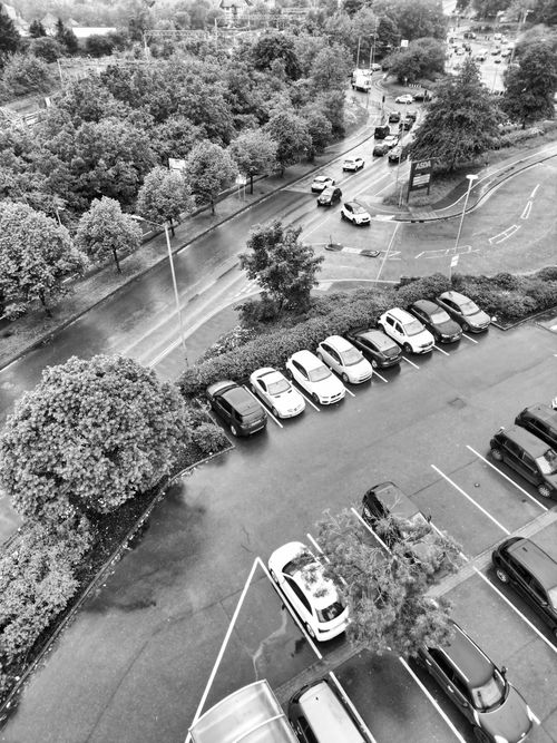 Free Black and white aerial view of a parking lot and road traffic surrounded by greenery. Stock Photo