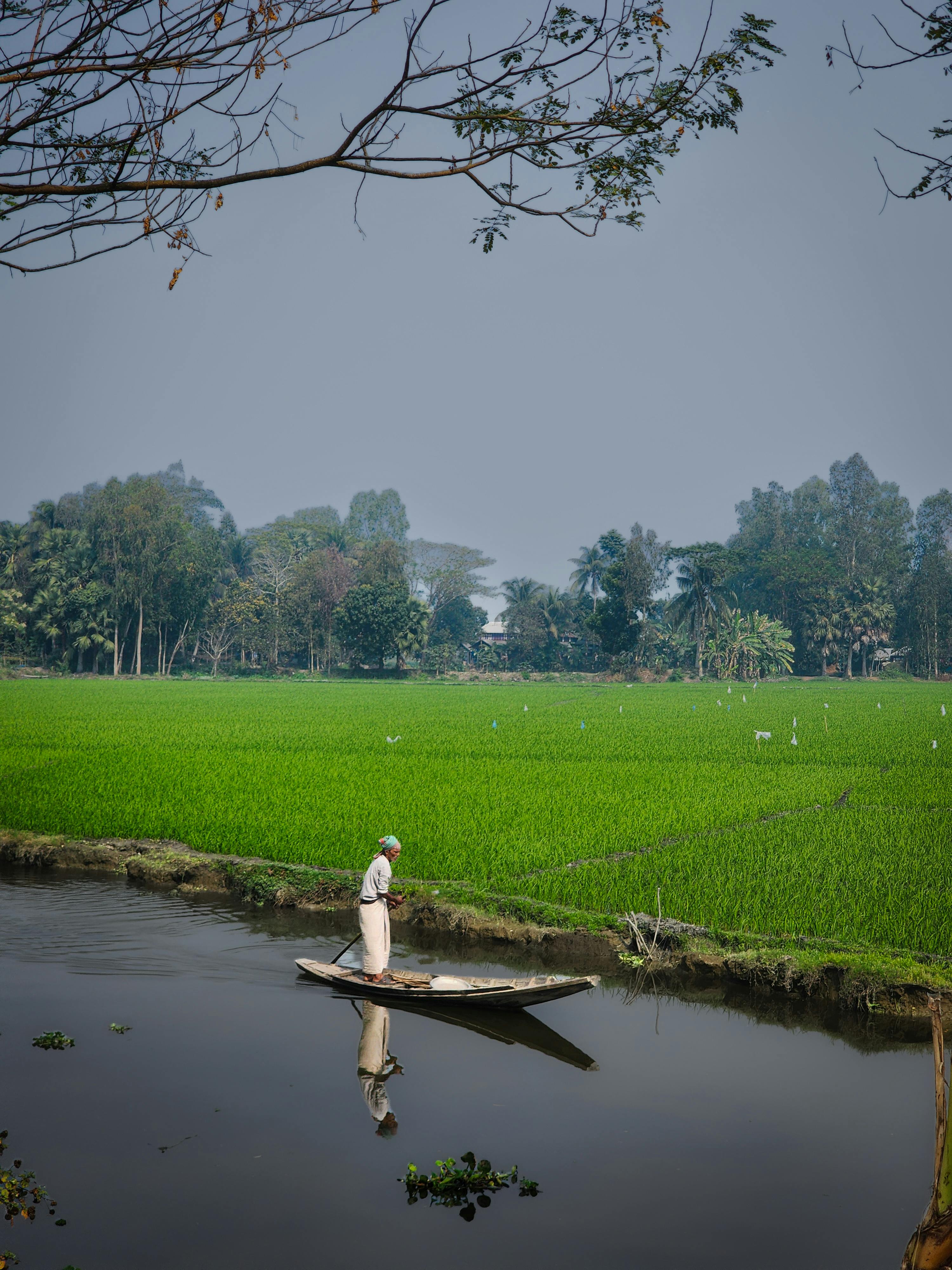 Gratis Et fredfyldt landligt landskab med en landmand, der padler i kano på en frodig grøn mark. Lagerfoto