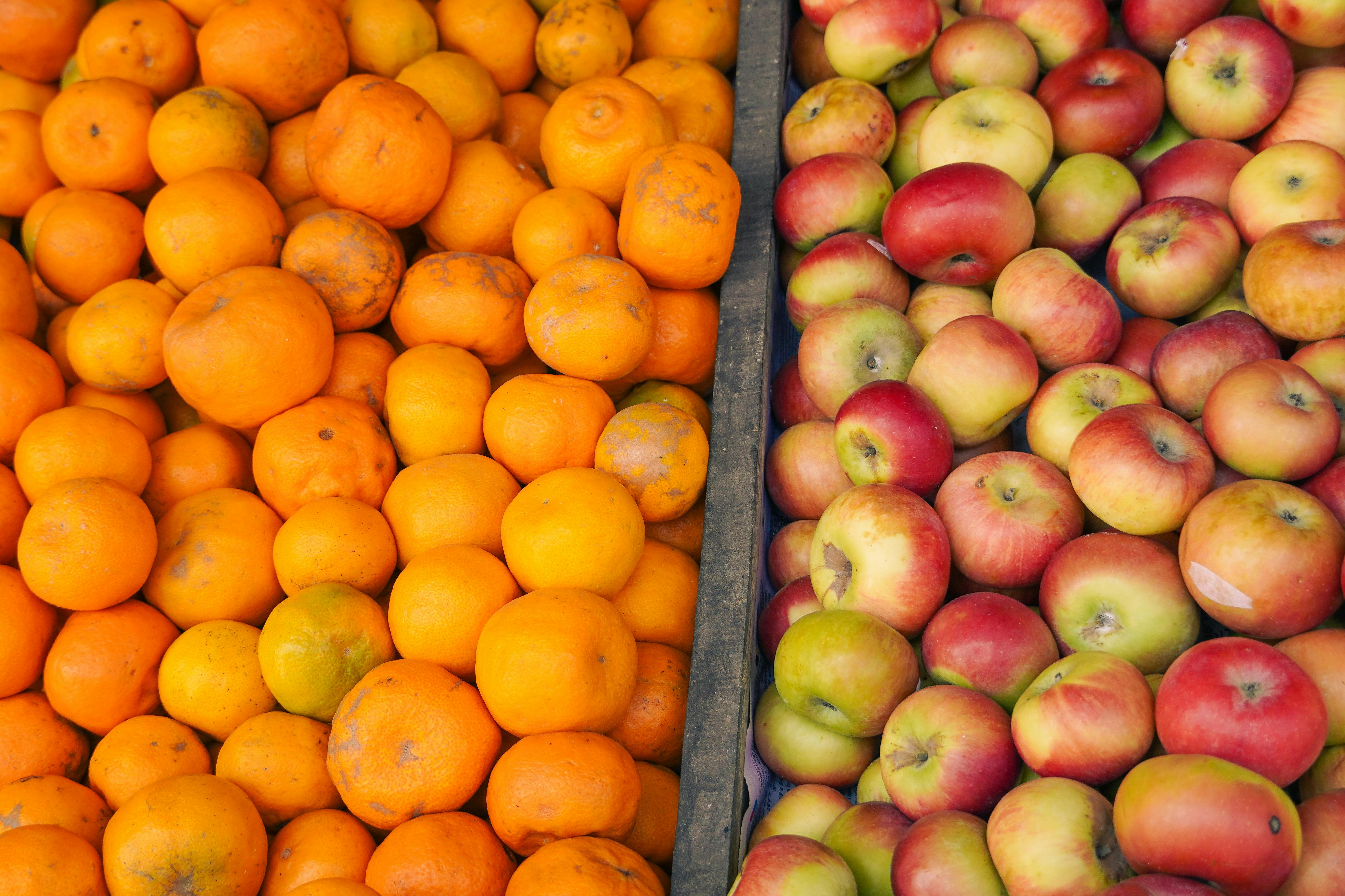 Gratis Livlig udstilling af friske appelsiner og æbler på et frugtmarked i Kodaikanal, Indien. Lagerfoto
