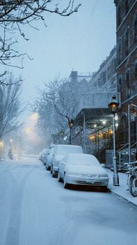 Quiet Brooklyn street blanketed by snow in a serene winter scene with parked cars and historic buildings.