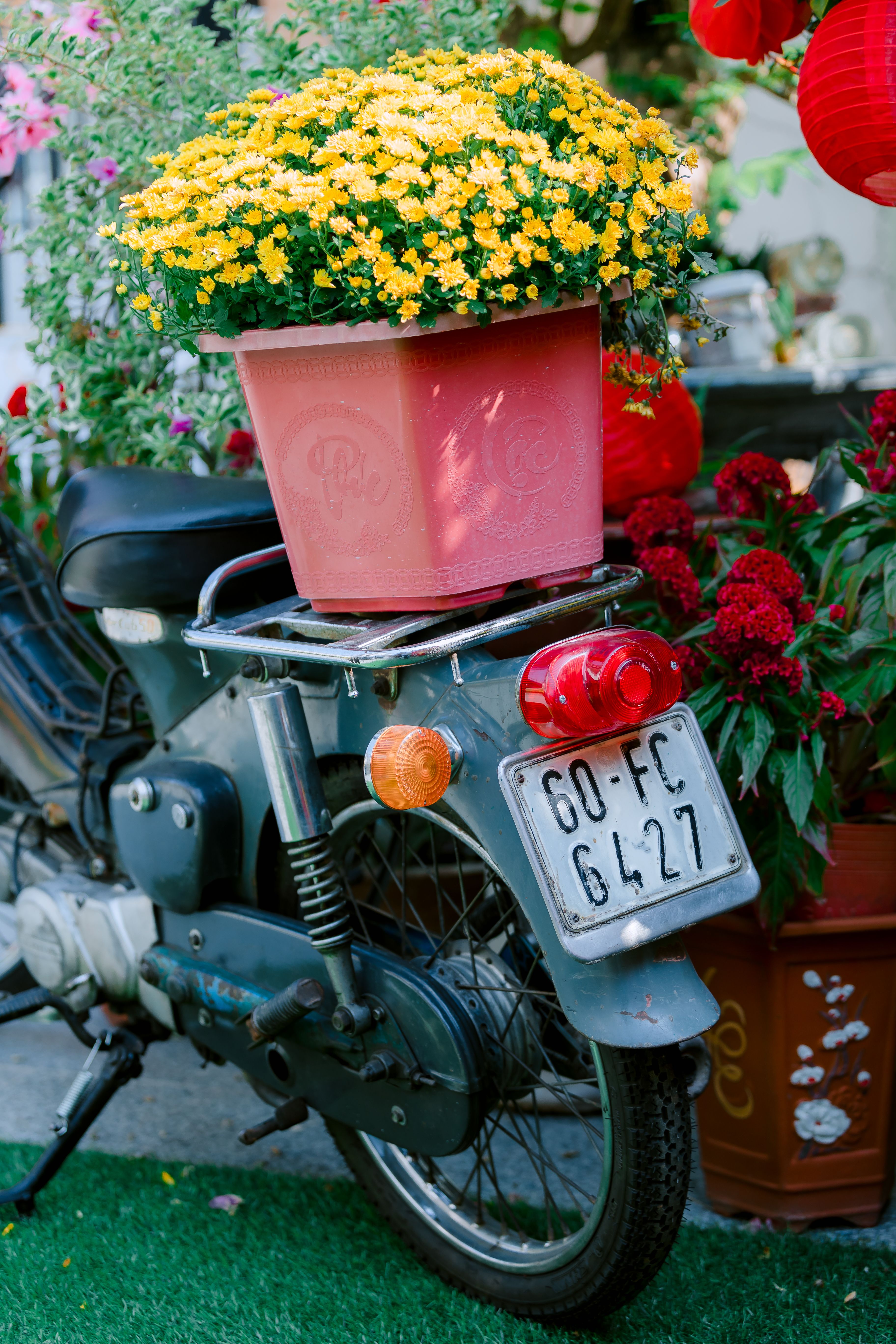Vintage Motorcycle with Colorful Flower Arrangement · Free Stock Photo