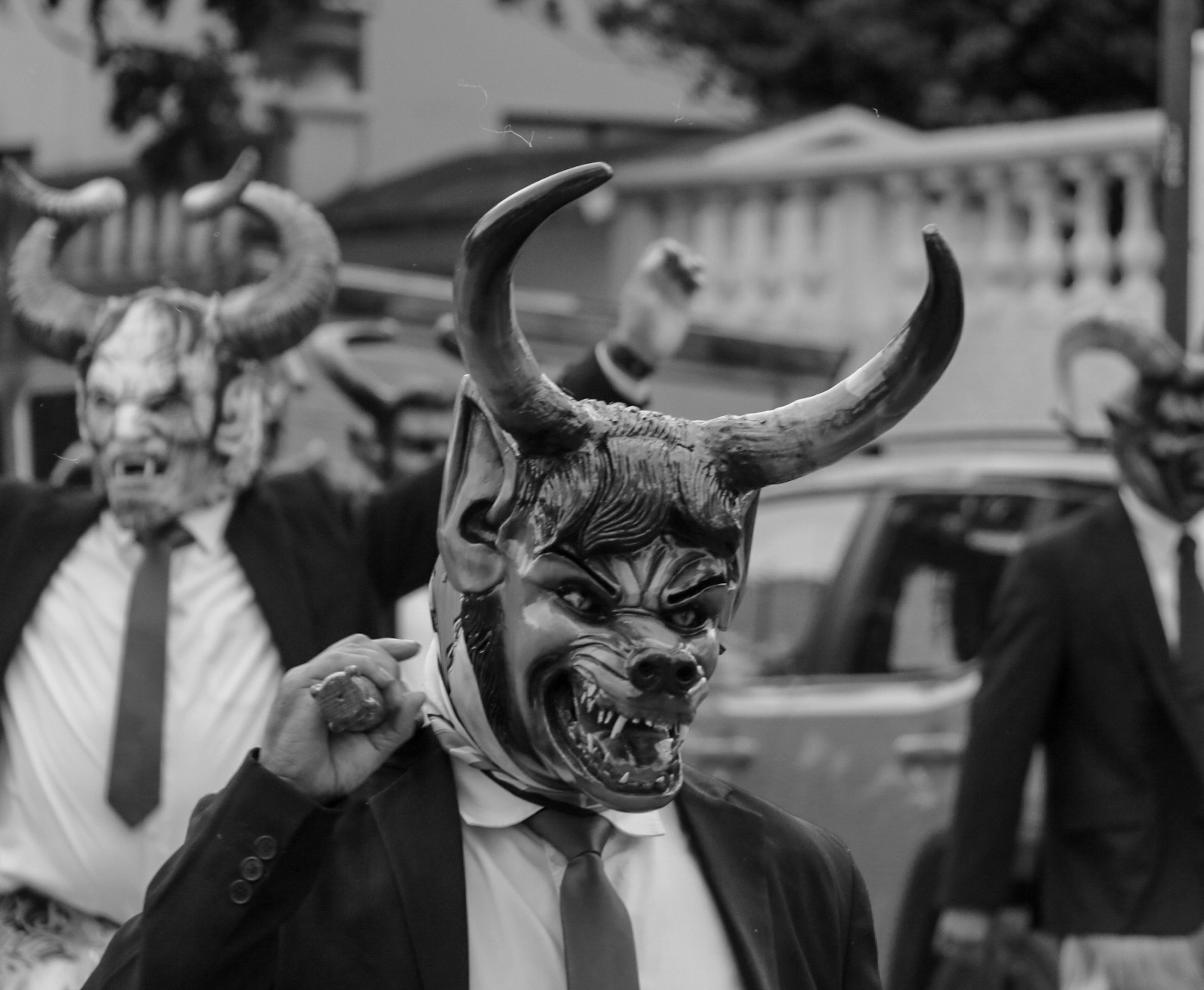Horner's F1 options after Red Bull gardening leave explained — Photo by Anya  Juárez Tenorio on Pexels