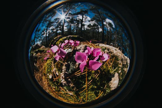 一个人使用望远镜观测夜空中的月亮