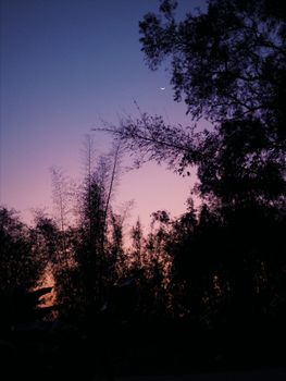 Tranquil twilight scene with bamboo silhouettes under a crescent moon in Guangxi, China.