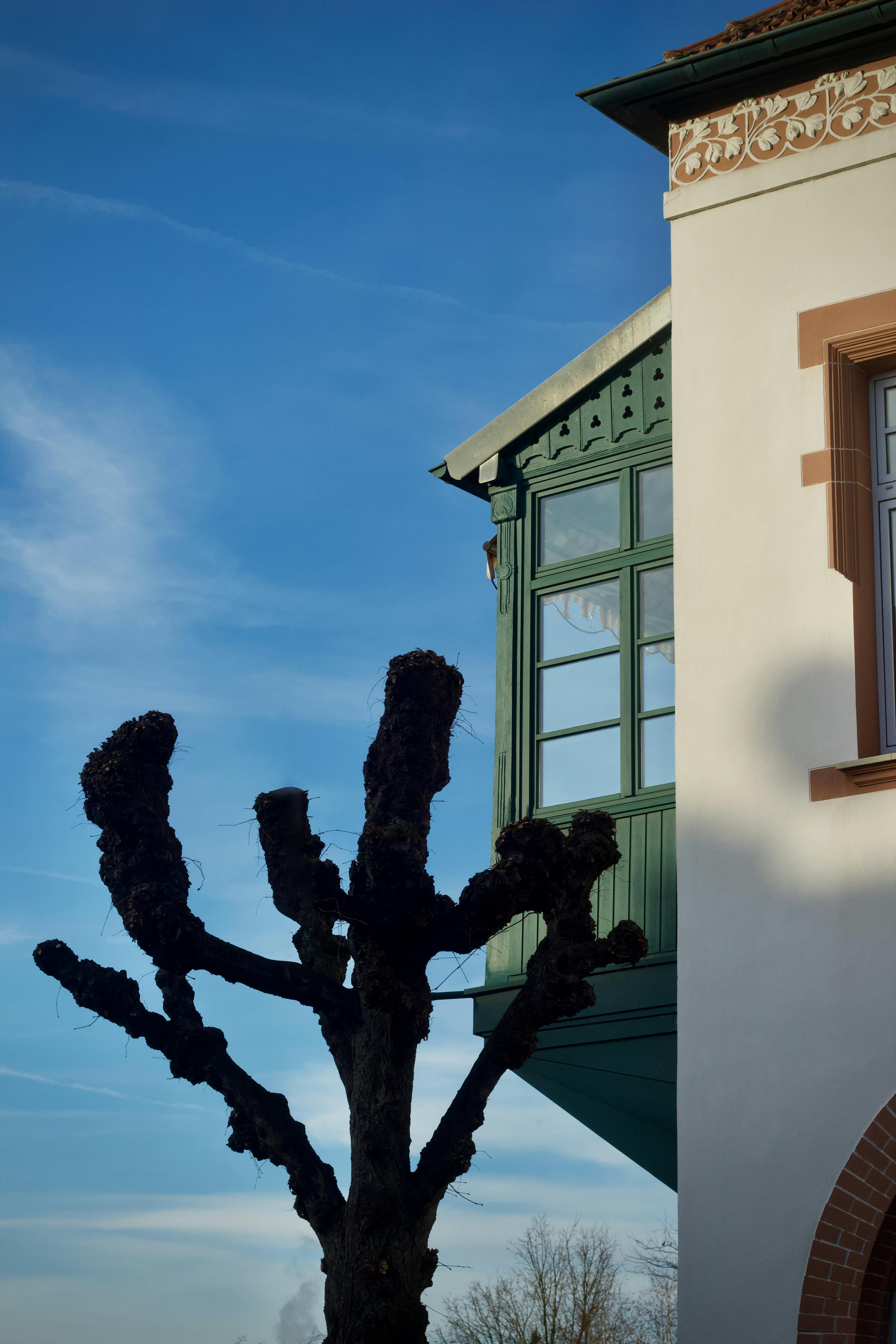 無料 青い空を背景にした装飾的な窓を備えた歴史的な建物のファサード。 写真素材