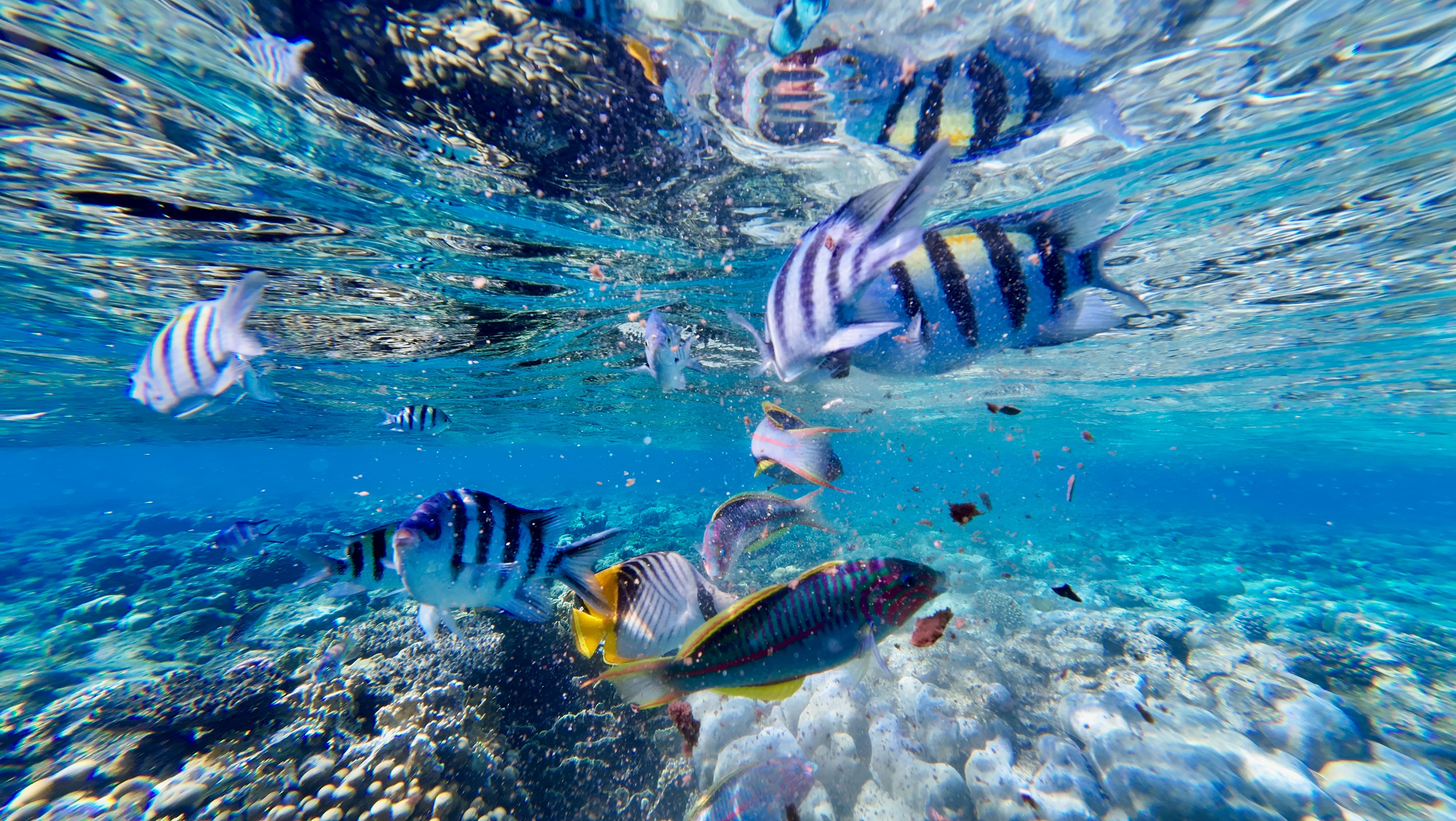 Turismo de aventura em Arraial do Cabo