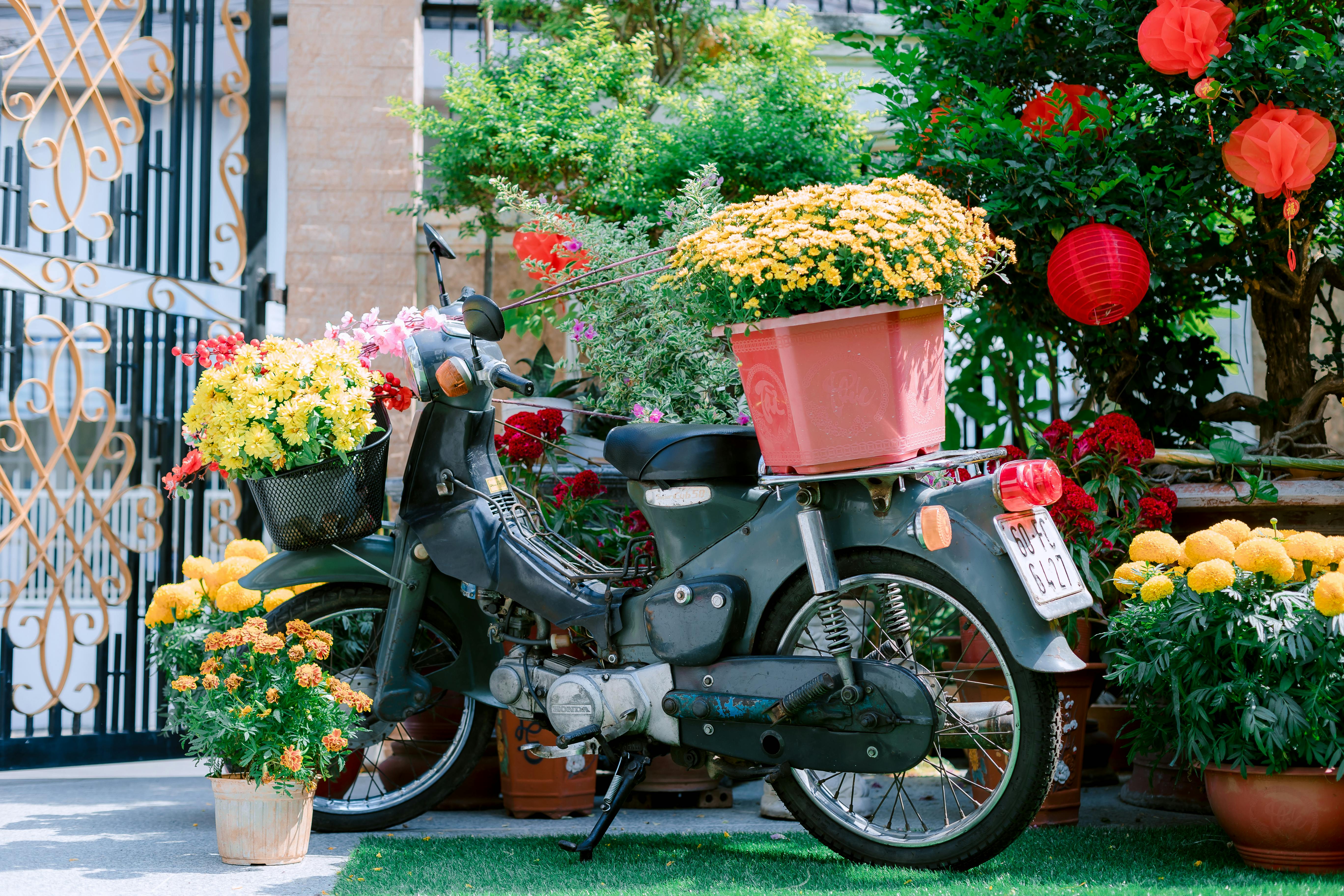 Gratis En vintage motorsykkel utsmykket med fargerike blomster og røde lykter i en utendørs hage. Arkivbilde