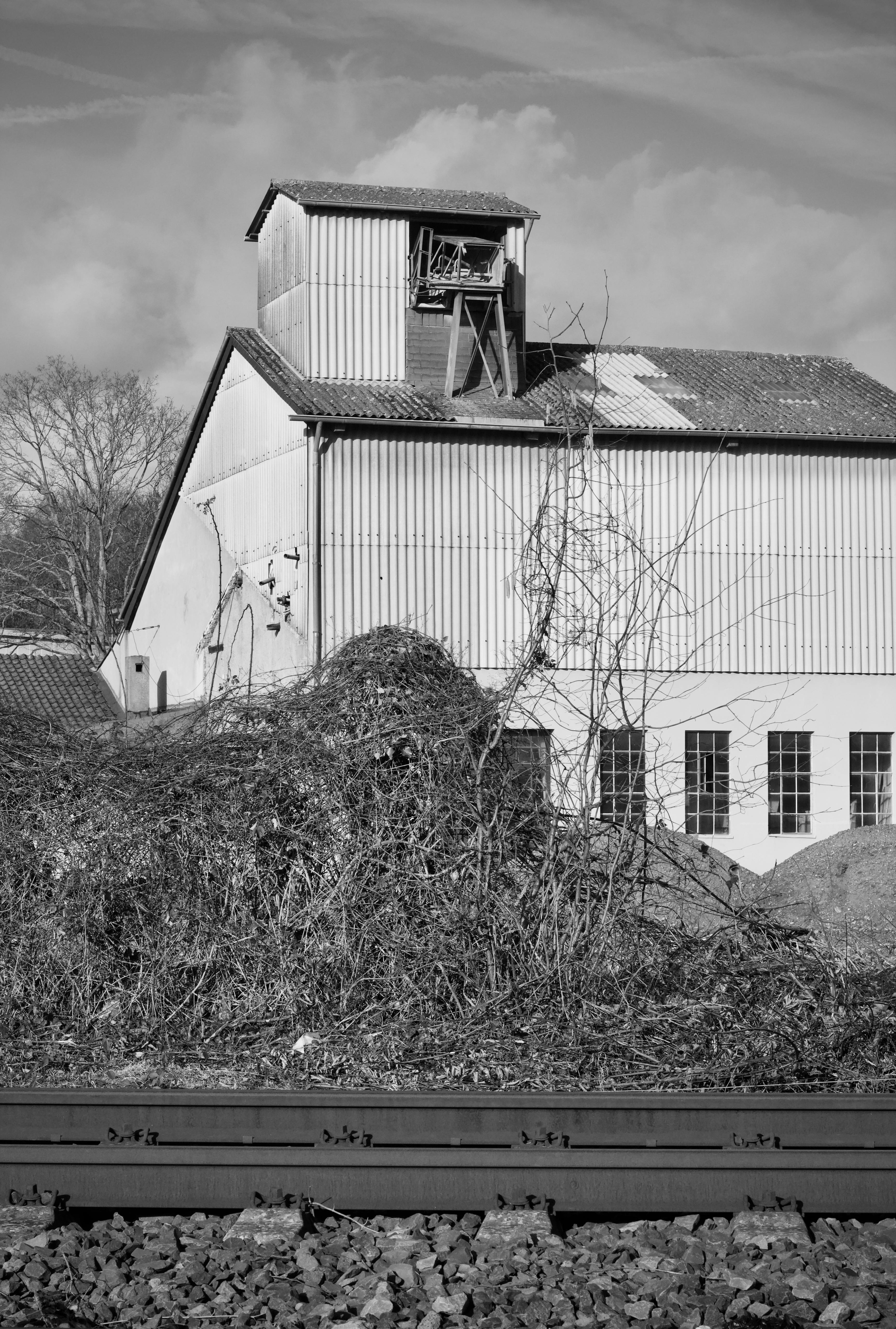 Gratis Svart-hvitt-bilde av et forlatt industriområde med vinranker og jernbanespor. Arkivbilde