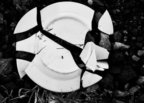 A shattered white ceramic plate lying on dark, textured rocks.