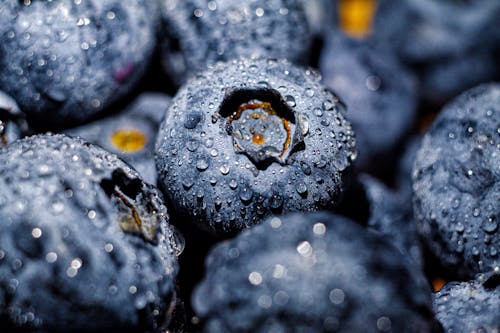 Close Up Photography Of Blueberries