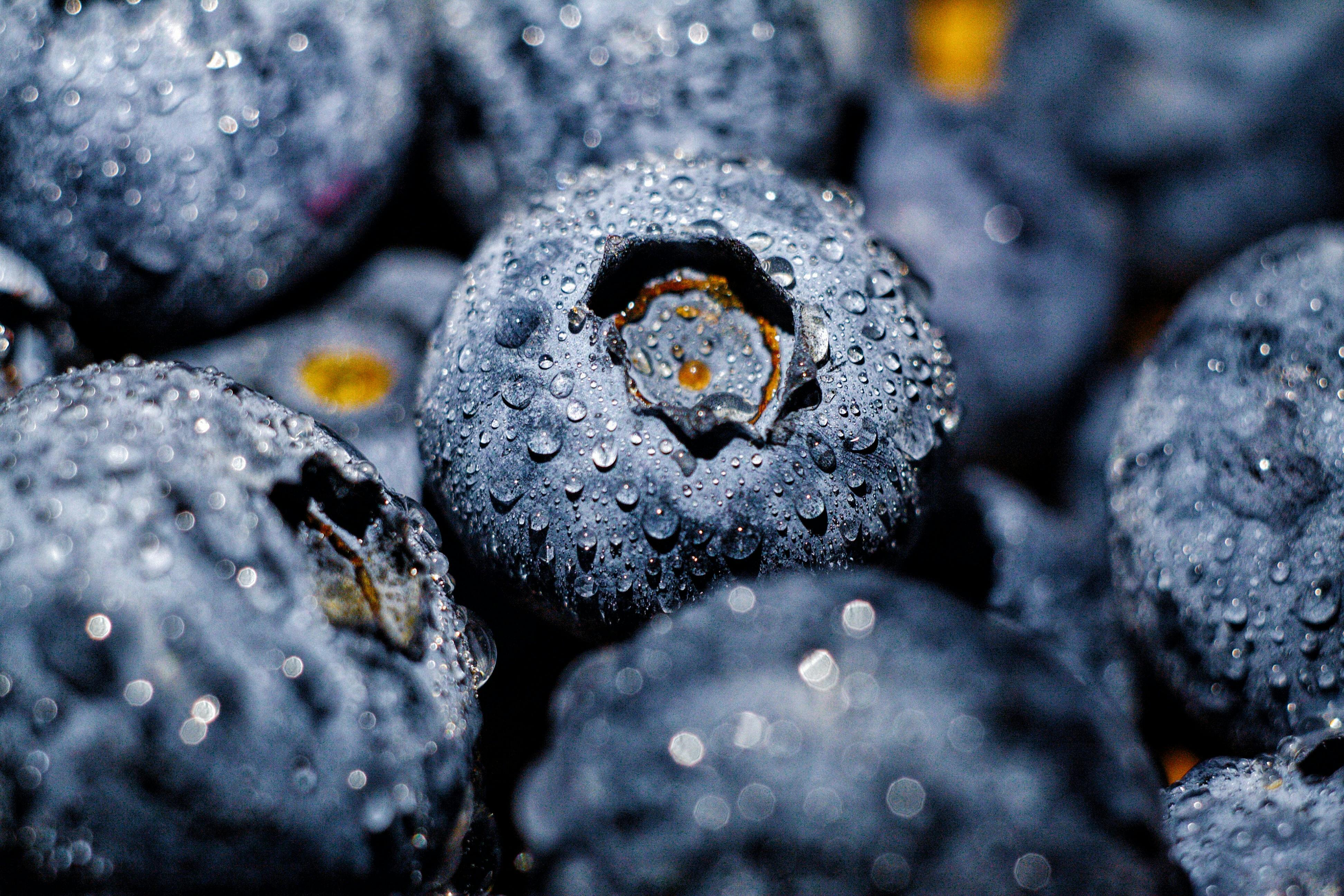 Deliciously Dairy-Free Discovering the Secrets of Paleo Cheese Alternatives