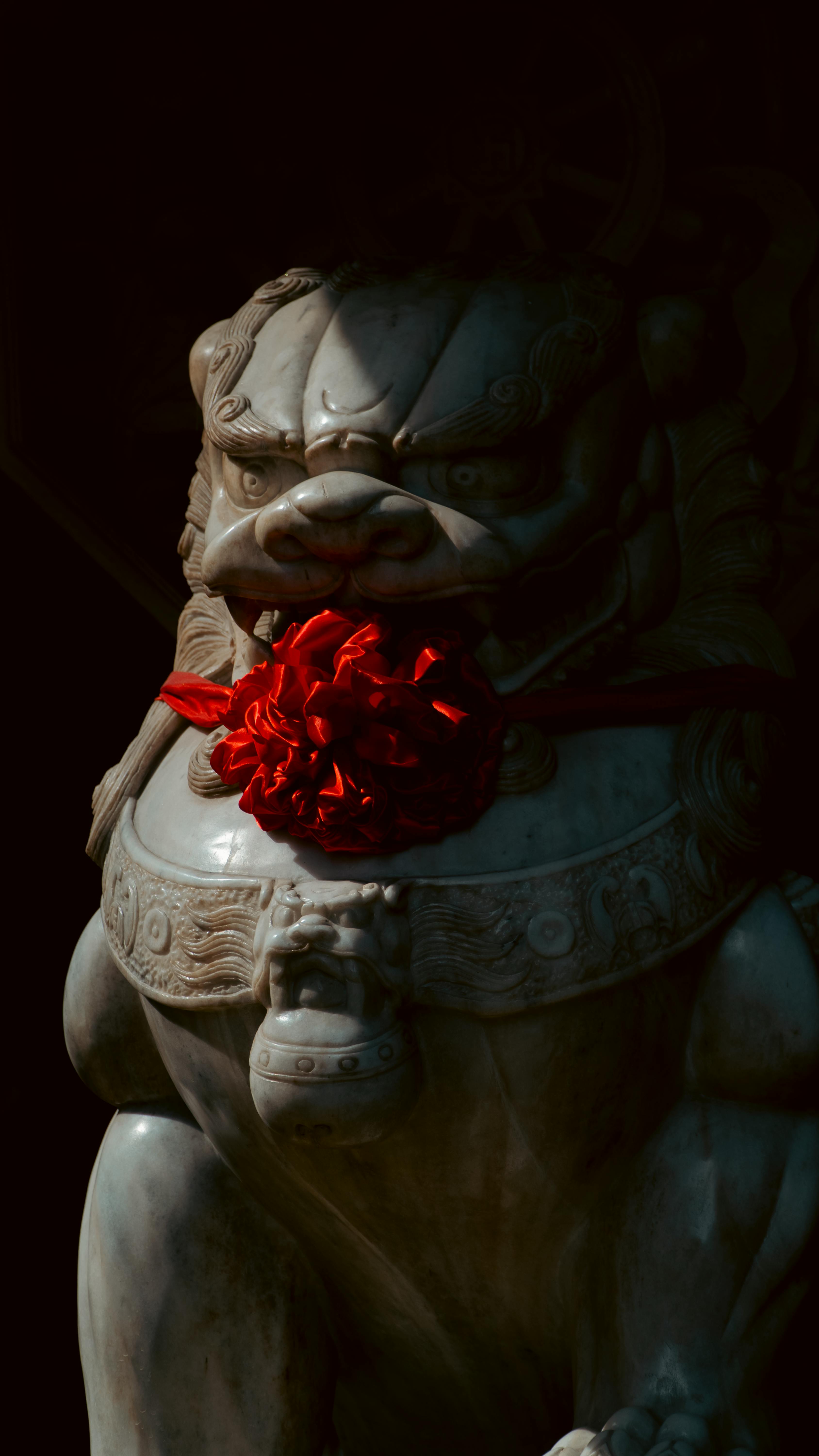Free A stone guardian lion statue adorned with a red flower in dim light, capturing a blend of tradition and color. Stock Photo