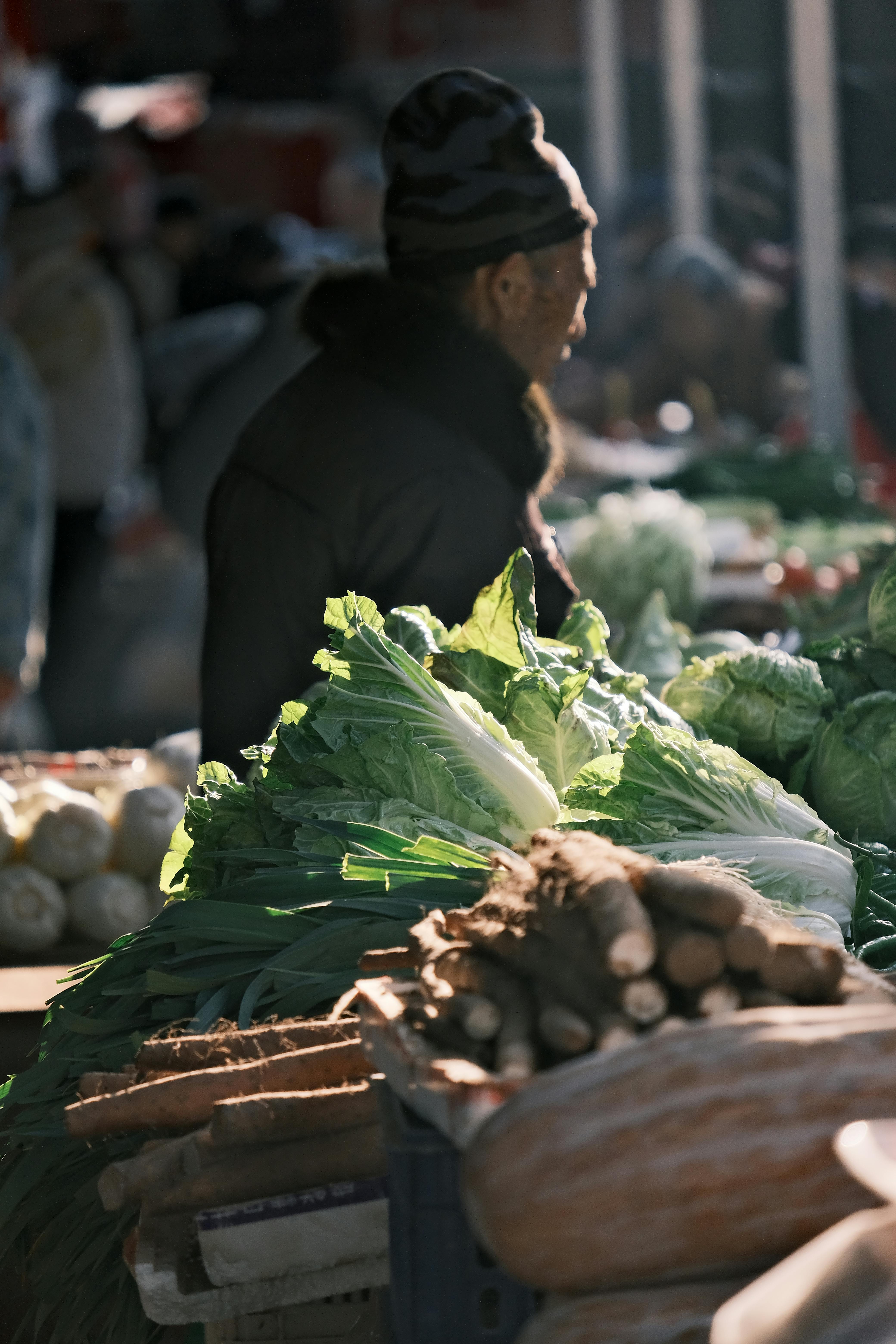 Gratis En kunde på et udendørs marked undersøger en række friske grønne grøntsager. Lagerfoto