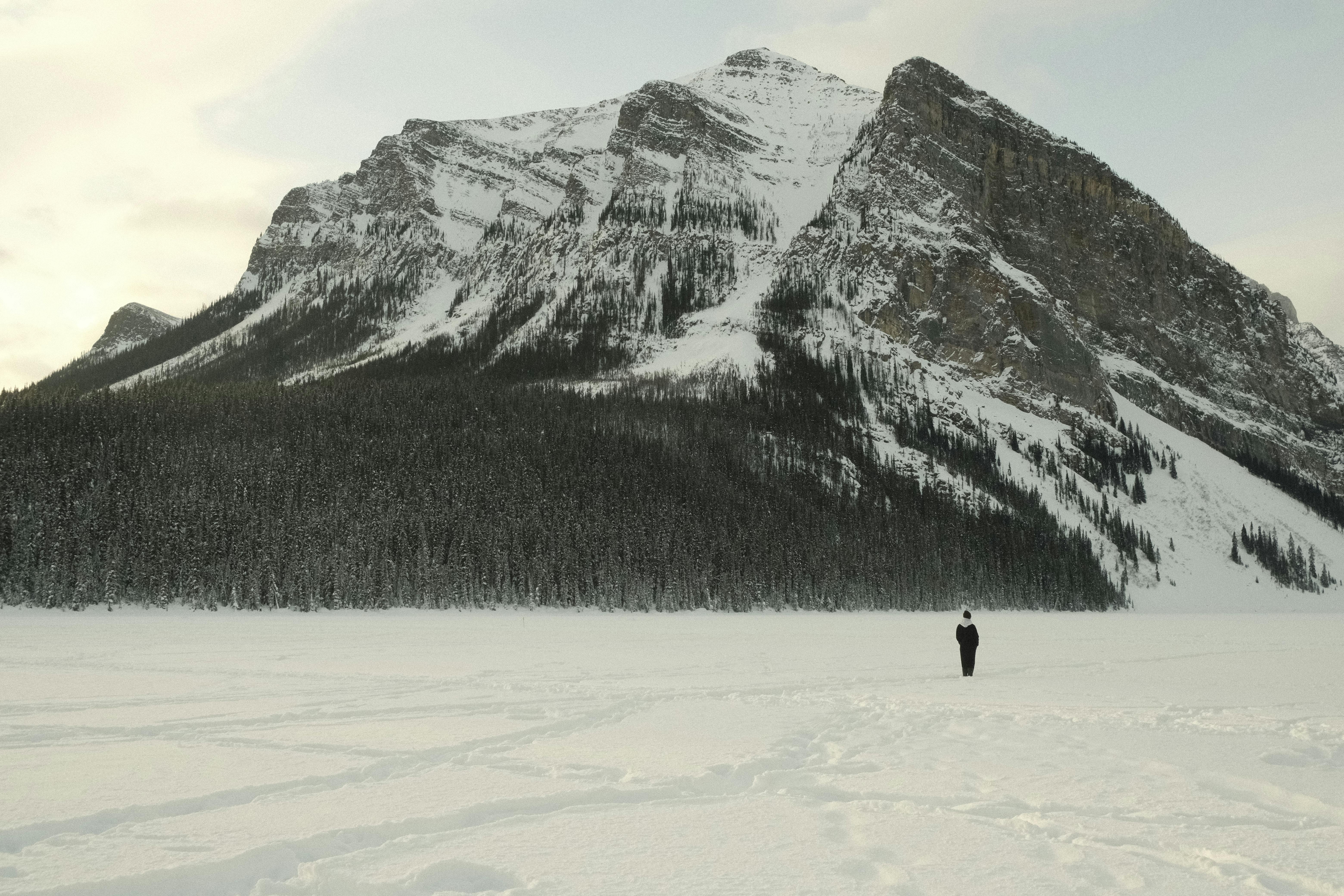 Gratis lagerfoto af @outdoor, Alberta, alpin Lagerfoto