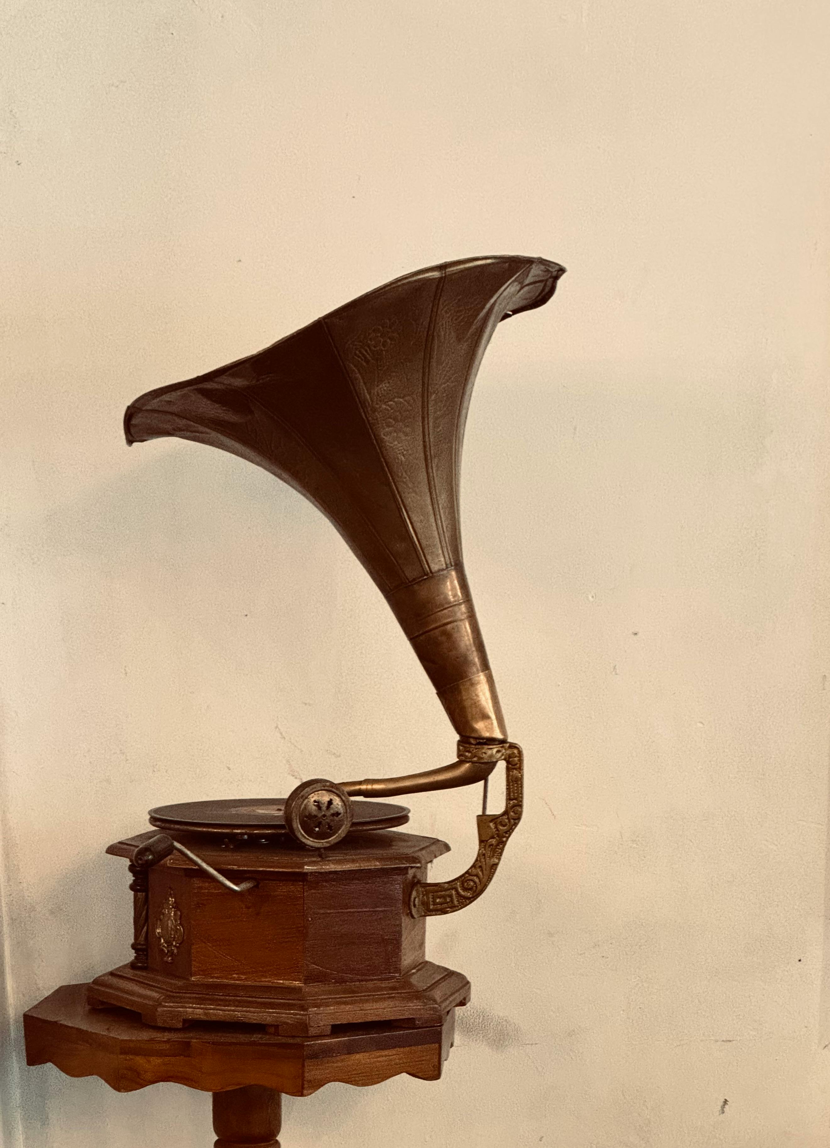 Gratis Grammofono classico con corno in ottone e base in legno, ideale per collezioni d'epoca. Foto a disposizione