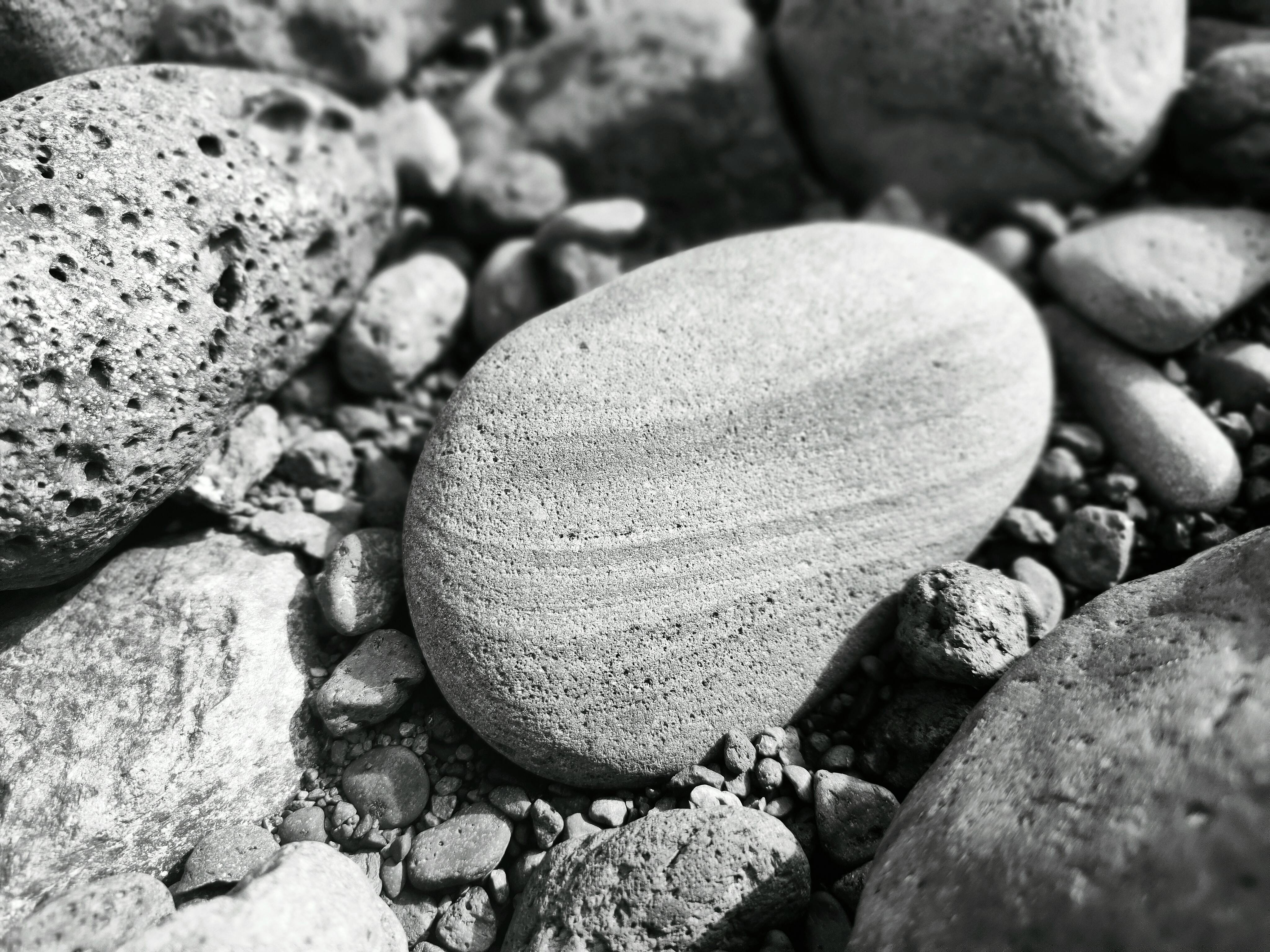 Gratis Svart-hvitt-bilde av glatte småstein på et elveleie, som fremhever tekstur og naturlige mønstre. Arkivbilde