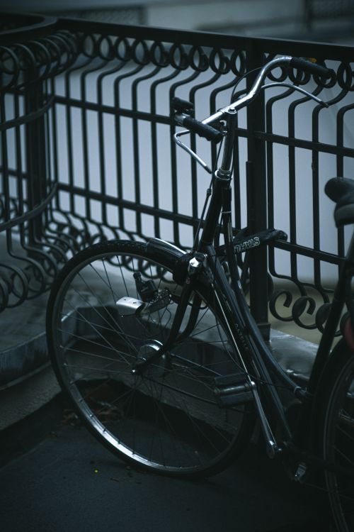 Free A black bicycle rests against an ornate iron fence in a city street setting, offering a moody urban vibe. Stock Photo