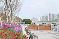 Scenic Waterfront with Vibrant Flowers and Skyline