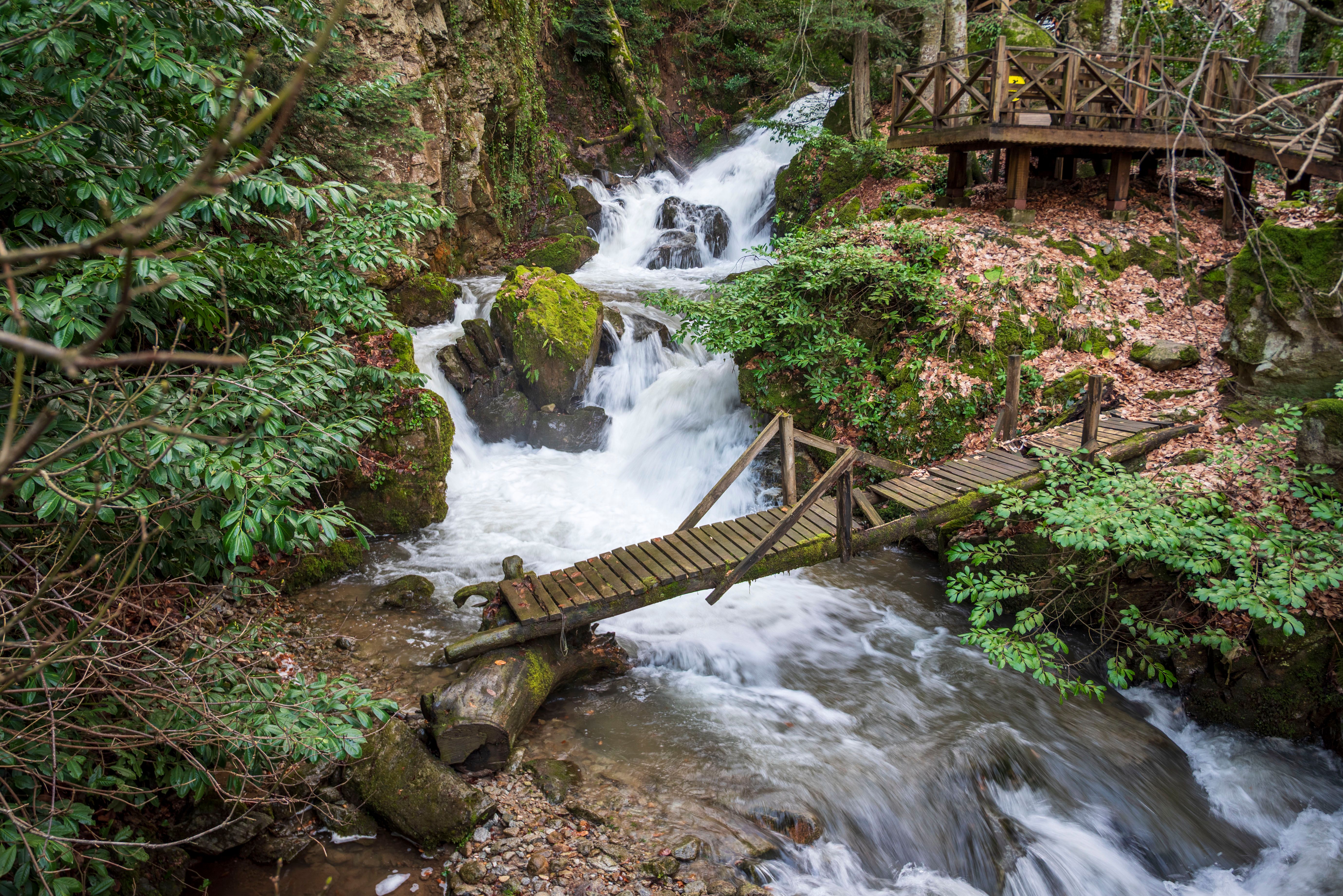 Picturesque forest waterfall with rustic wooden bridge and lush greenery.