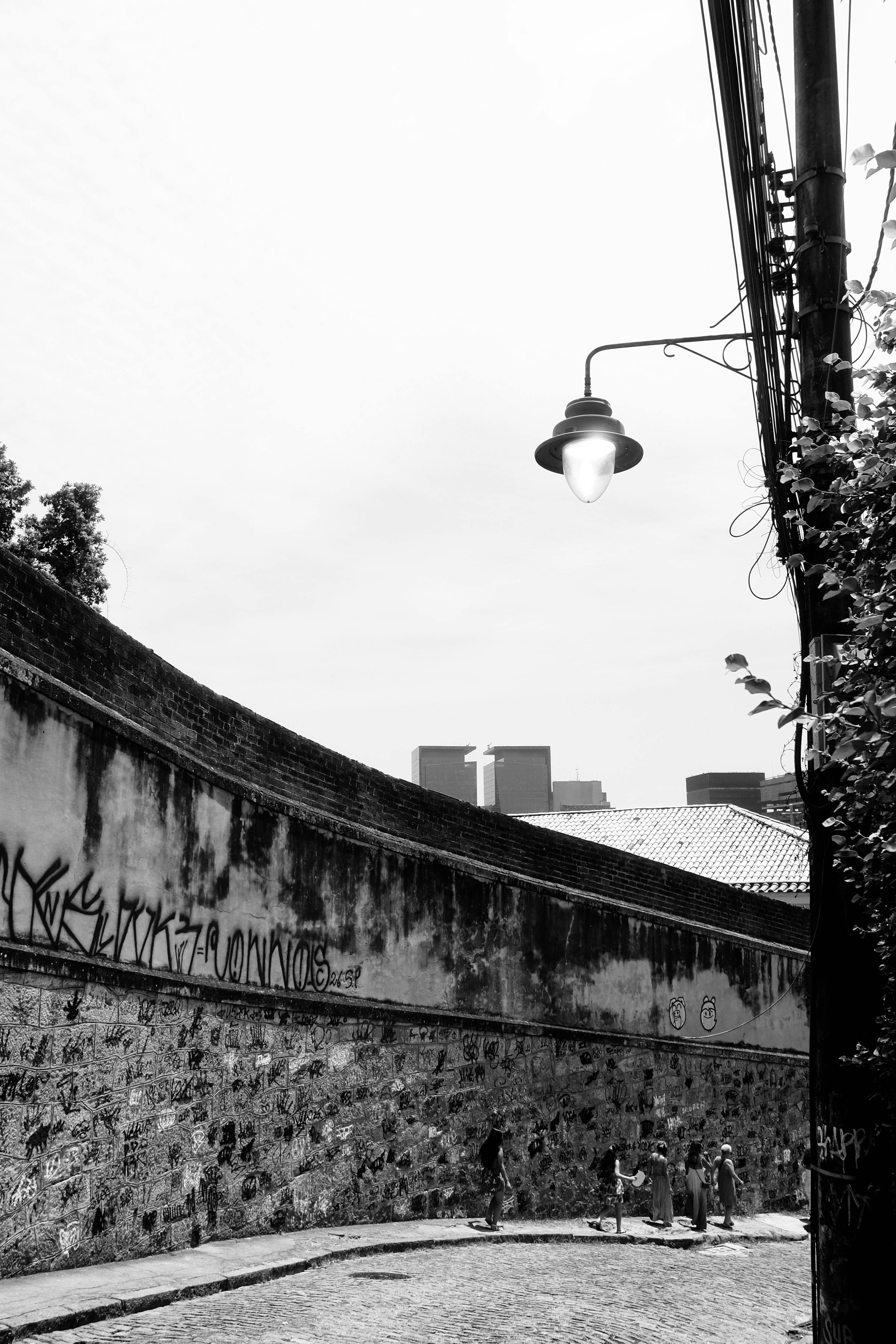 Miễn phí Ảnh đen trắng chụp một con phố phủ đầy graffiti ở Rio de Janeiro, Brazil. Ảnh lưu trữ