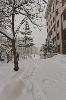 Serene winter landscape of snow-covered buildings and trees in Düzce, Türkiye.