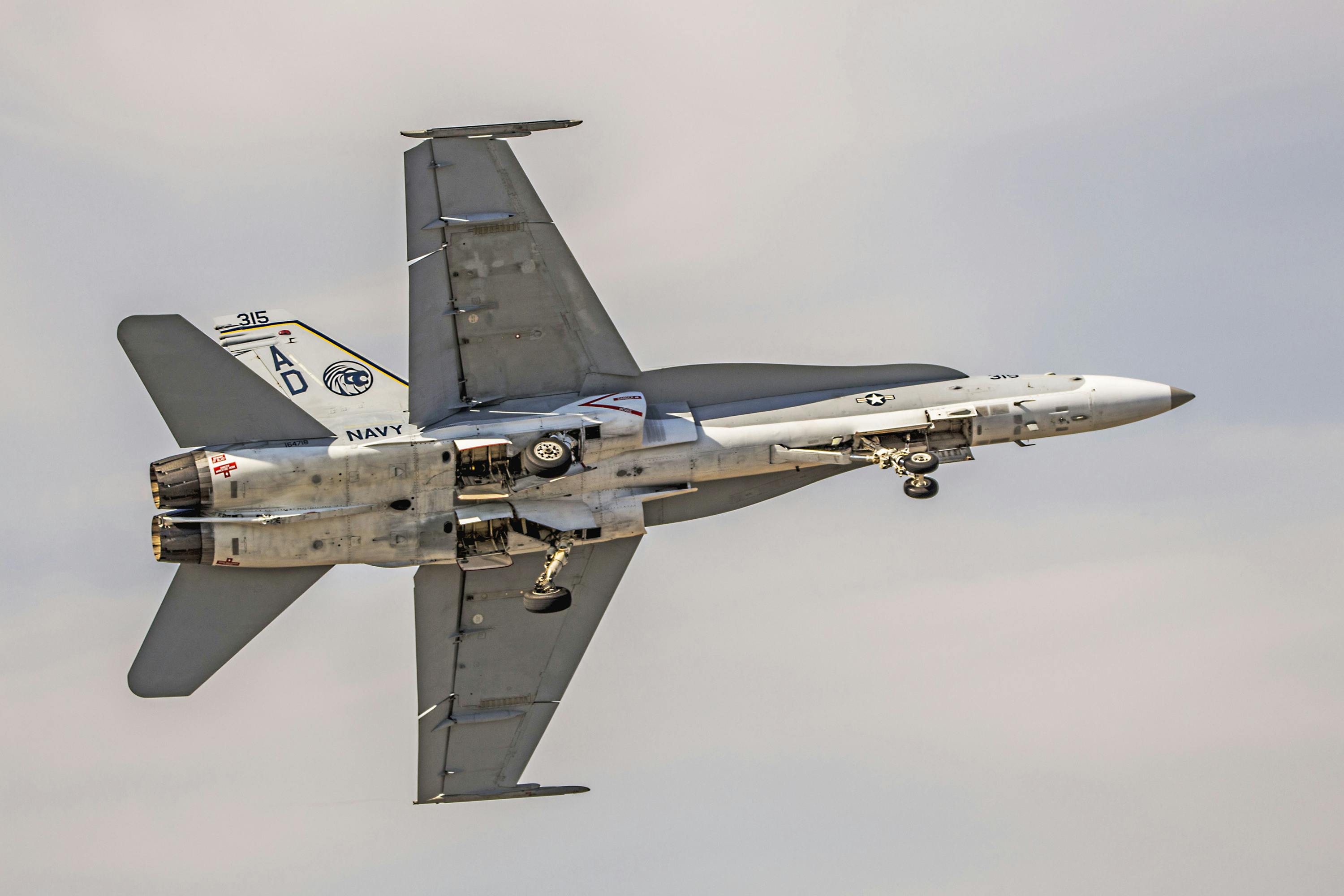F/A-18 Hornet Fighter Jet in Flight