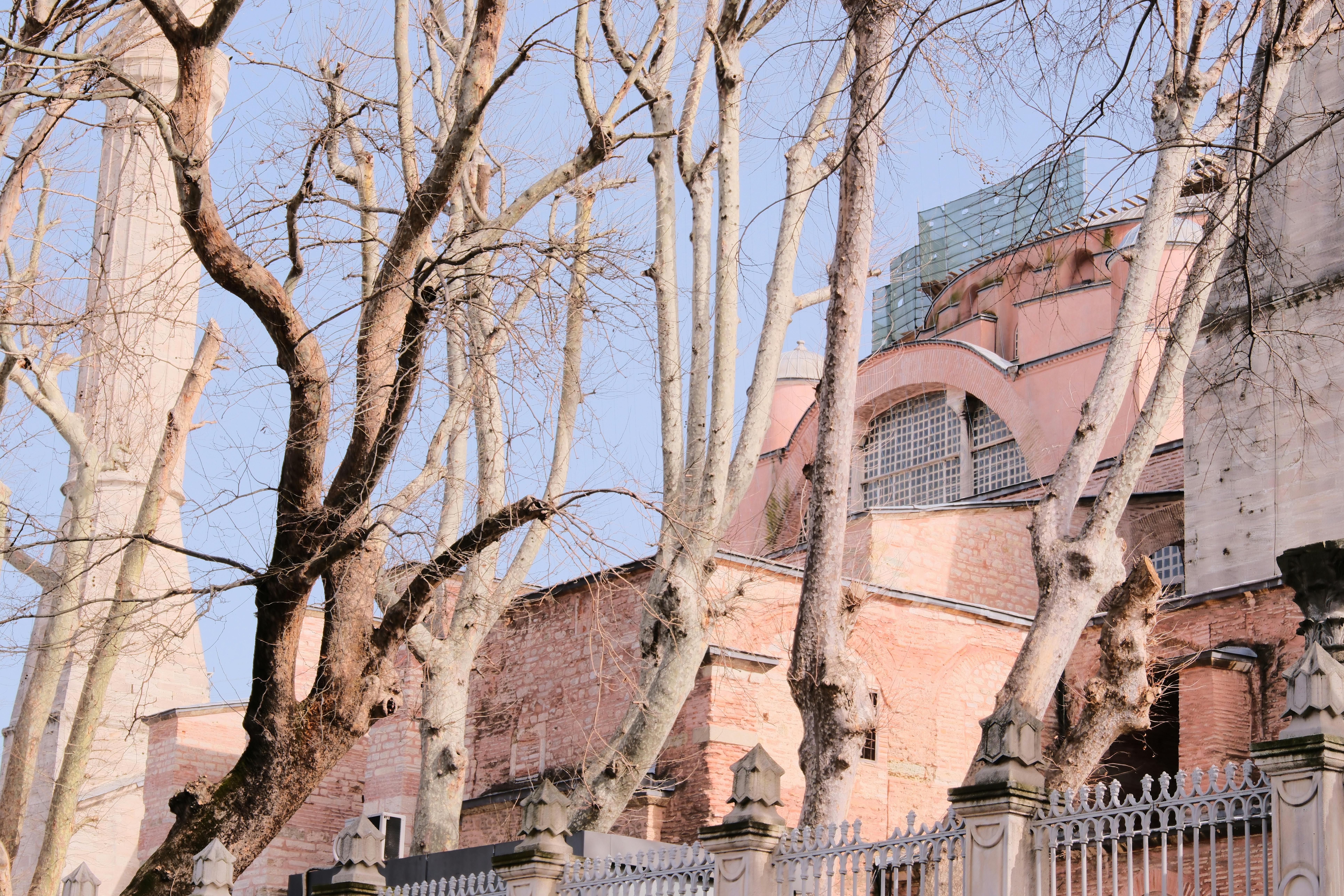 Gratis Utsikt over historisk bygning bak bladløse trær om vinteren med arkitektoniske detaljer. Arkivbilde