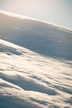 Peaceful snow-covered slope illuminated by soft sunrise light.