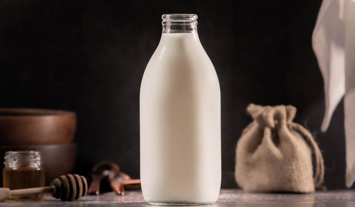 lait de chamelle utilisation quotidienne