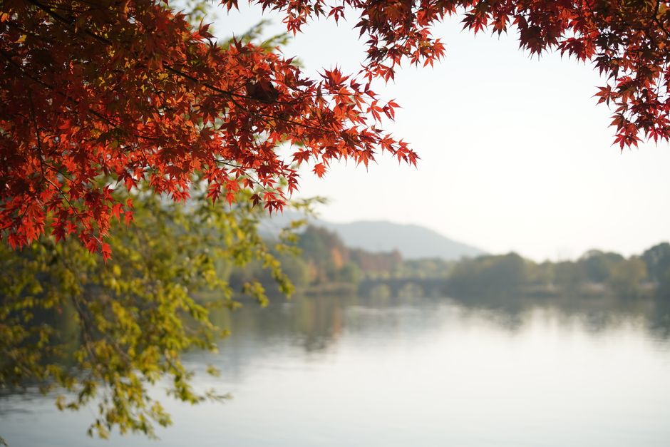 A serene lakeside scene featuring vibrant red and green autumn foliage reflecting in the water.