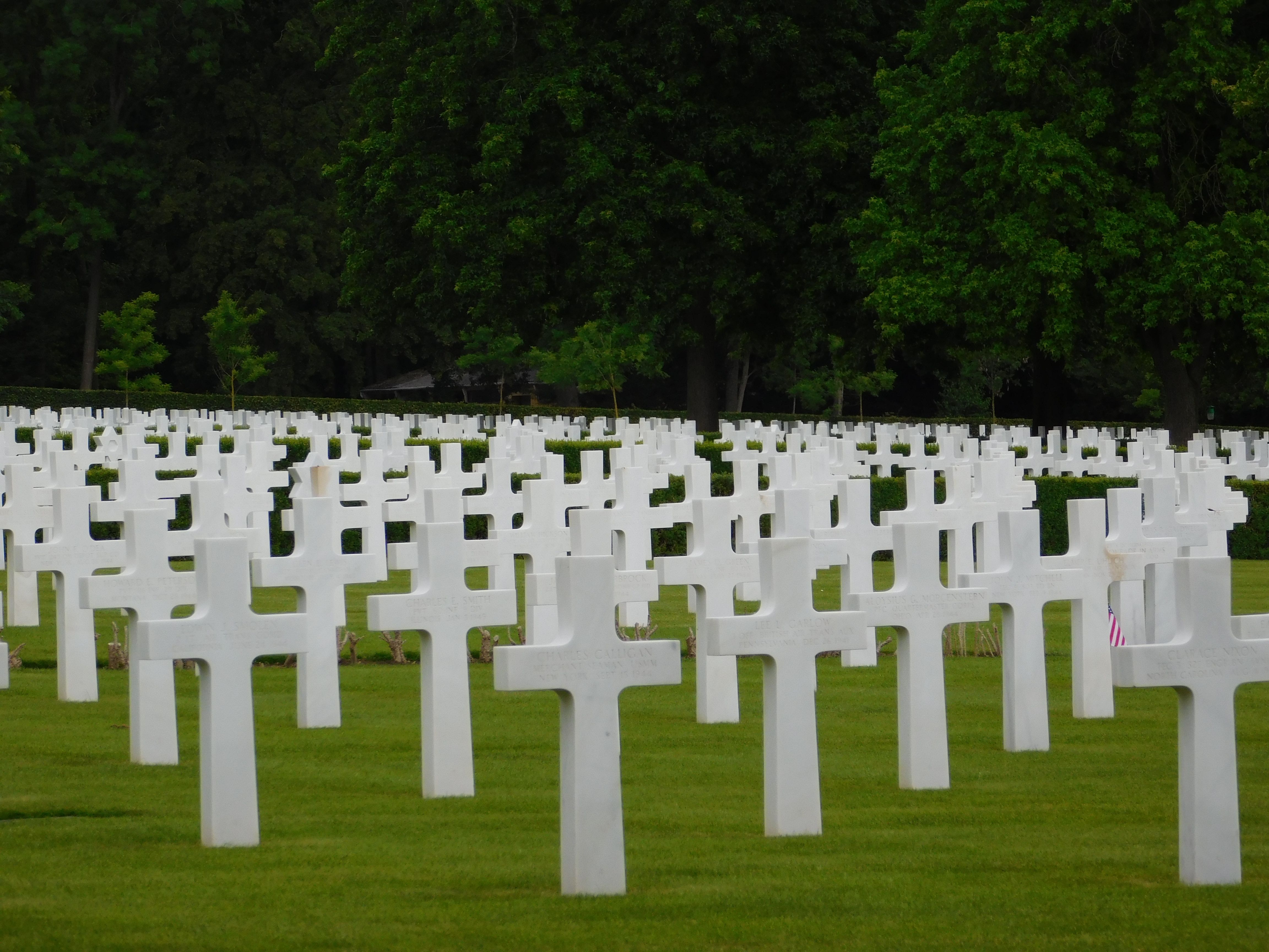 Rows of White Crosses in Military Cemetery · Free Stock Photo