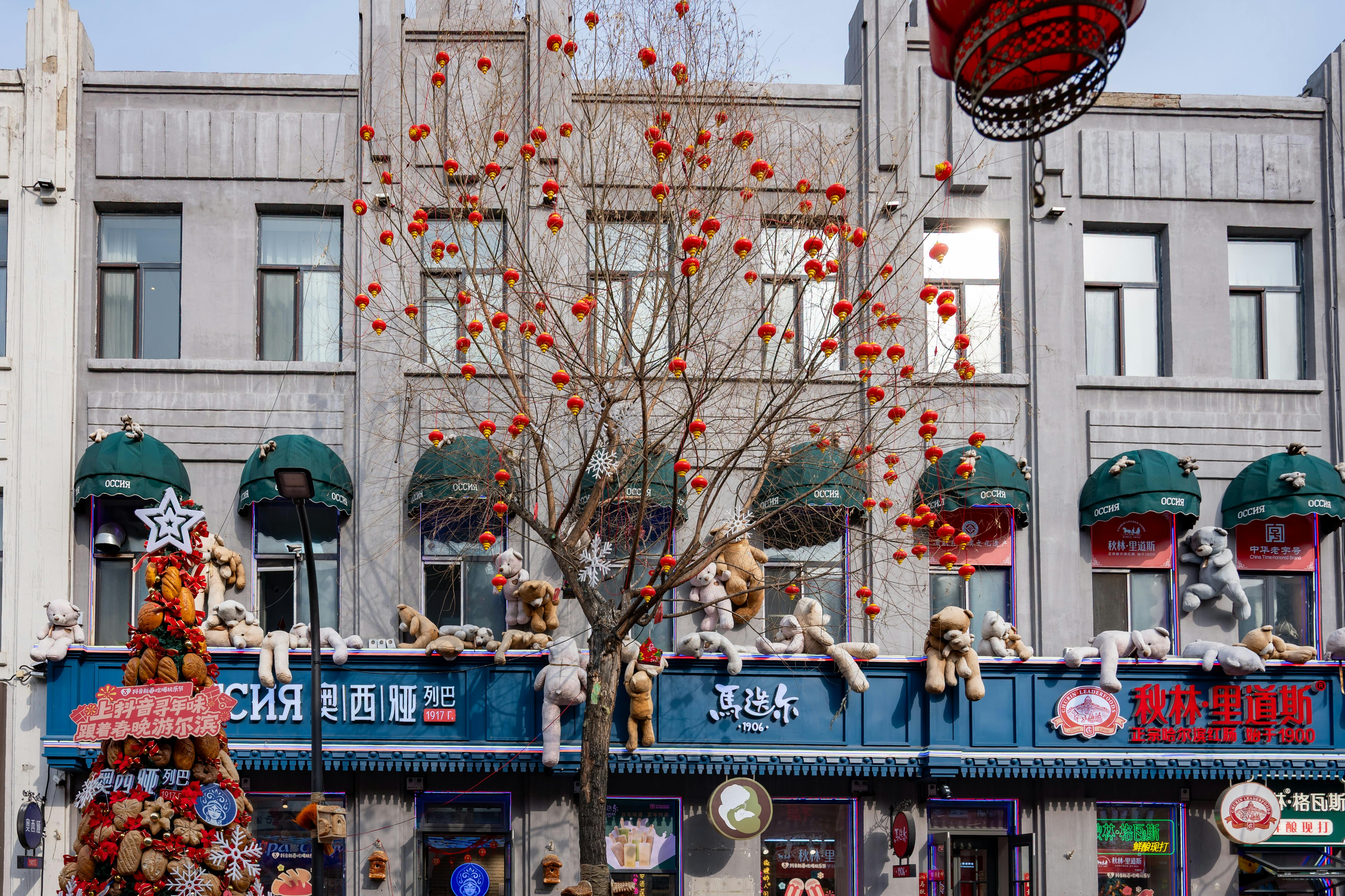 Colorful Christmas Street Scene in Harbin, China