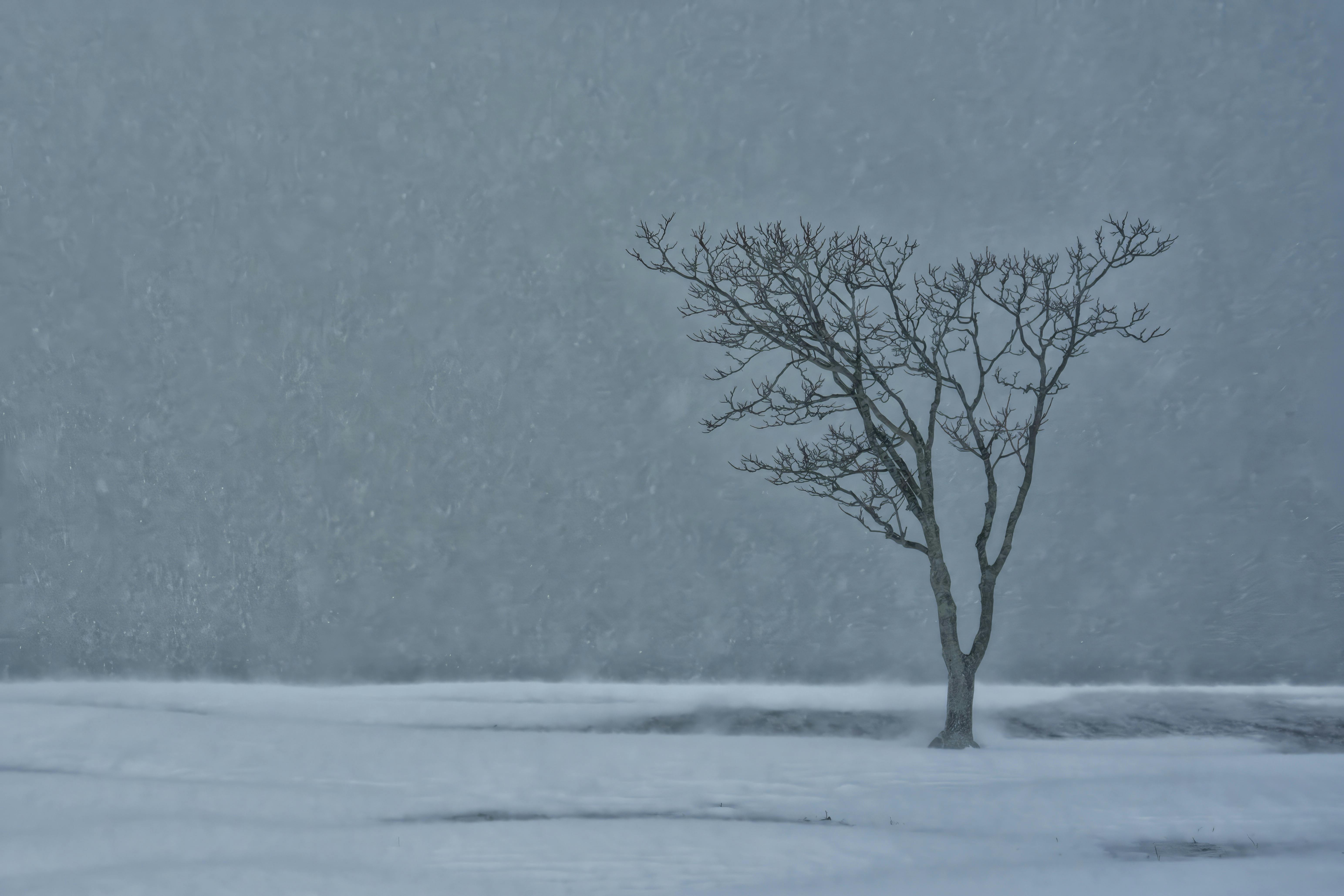 бесплатная Бесплатное стоковое фото с stamford, безмятежный, буря Стоковое фото