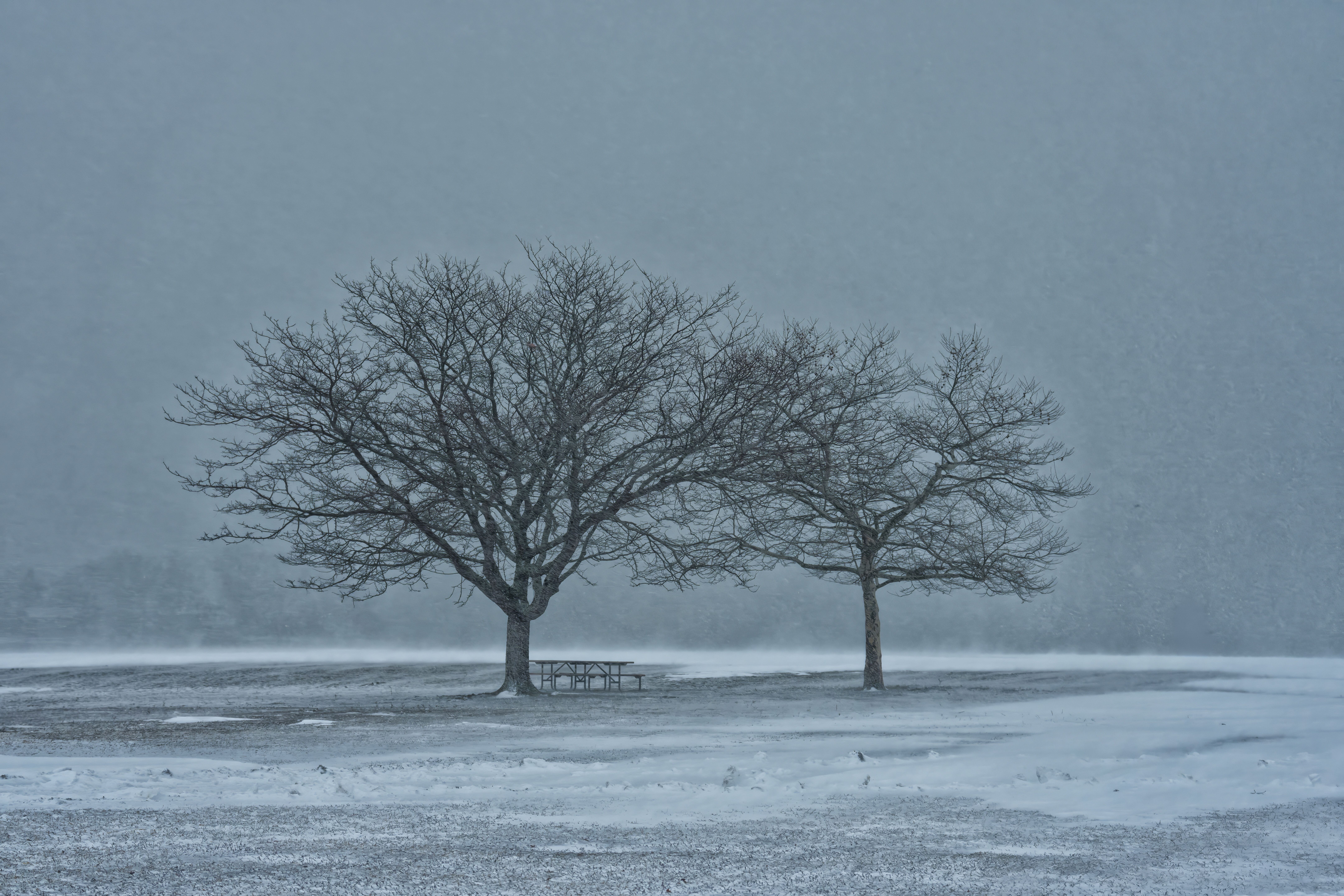weather winter storm warning