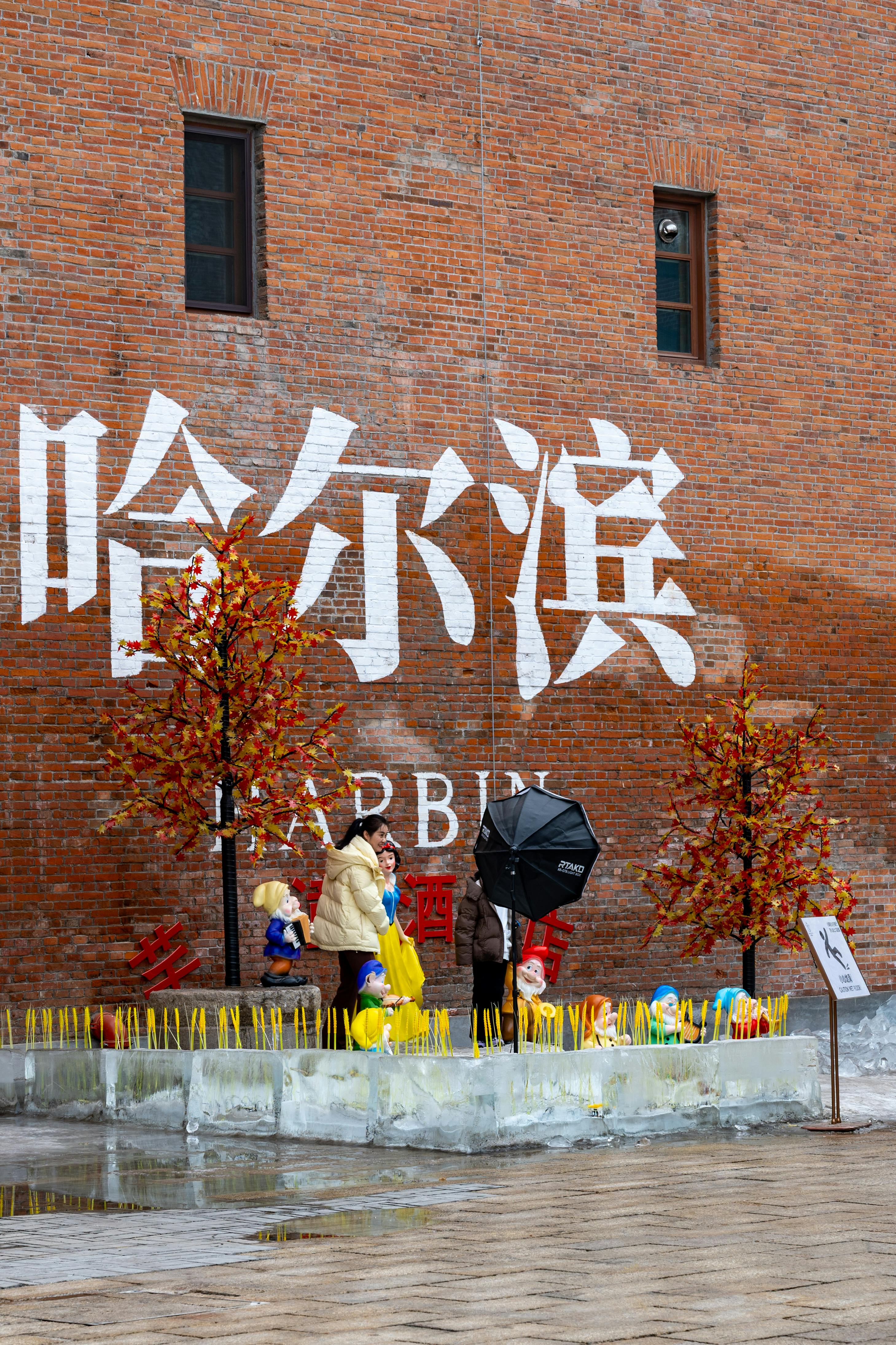 Autumn Stroll in Harbin with Fall Colors