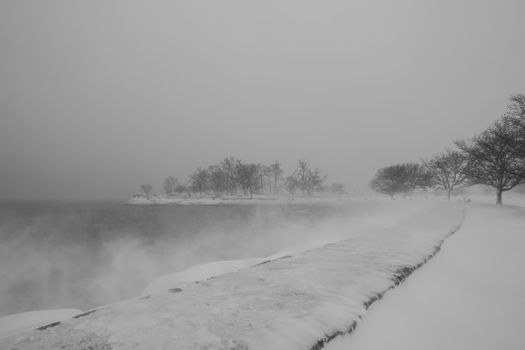 Calm snowy scene with barren trees along a serene winter shoreline.