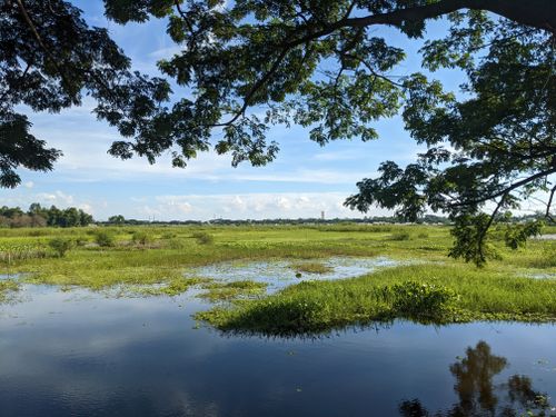 Free Calm scenic landscape with lush greenery and small water body under clear blue sky. Stock Photo