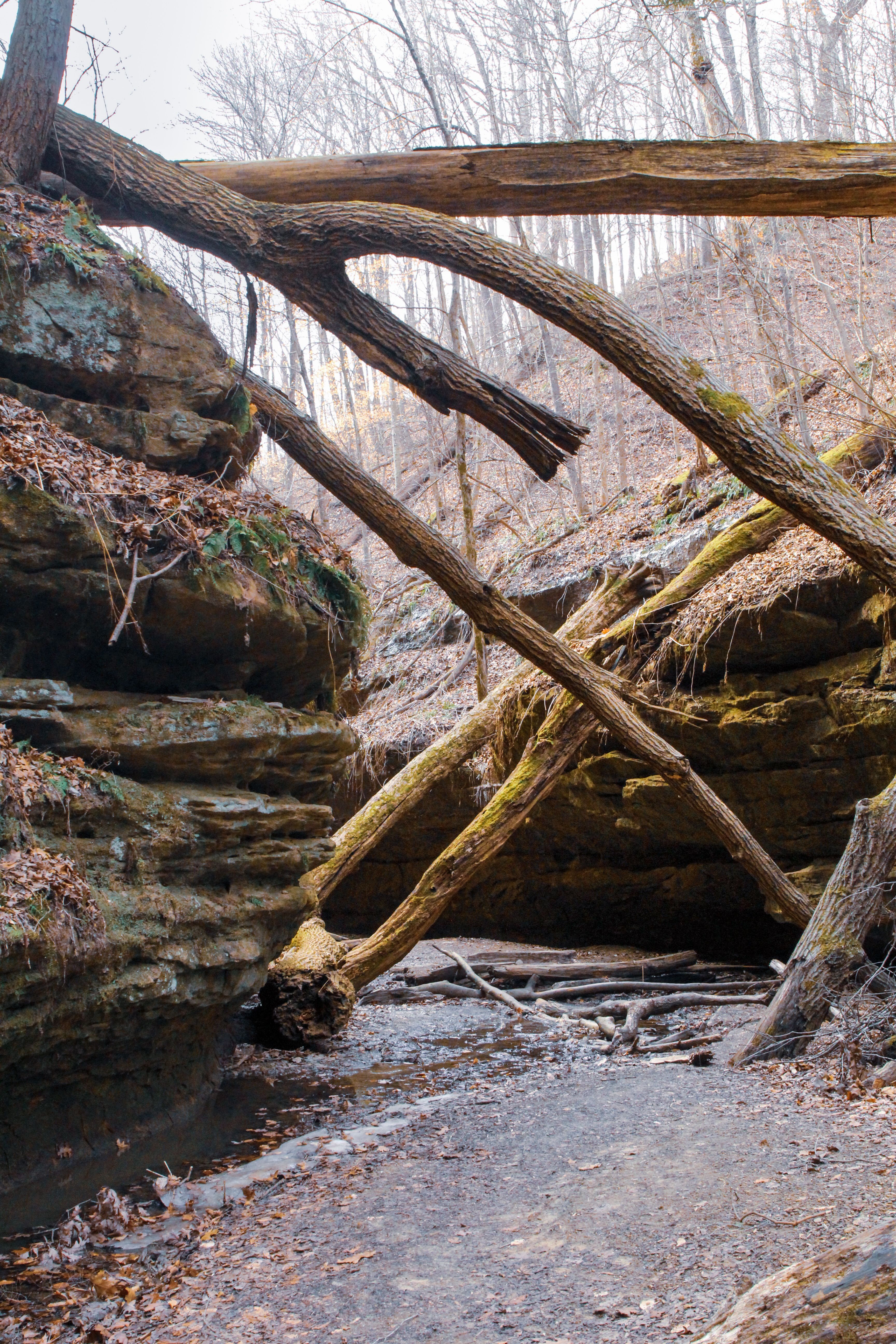 things to do in grove city pa